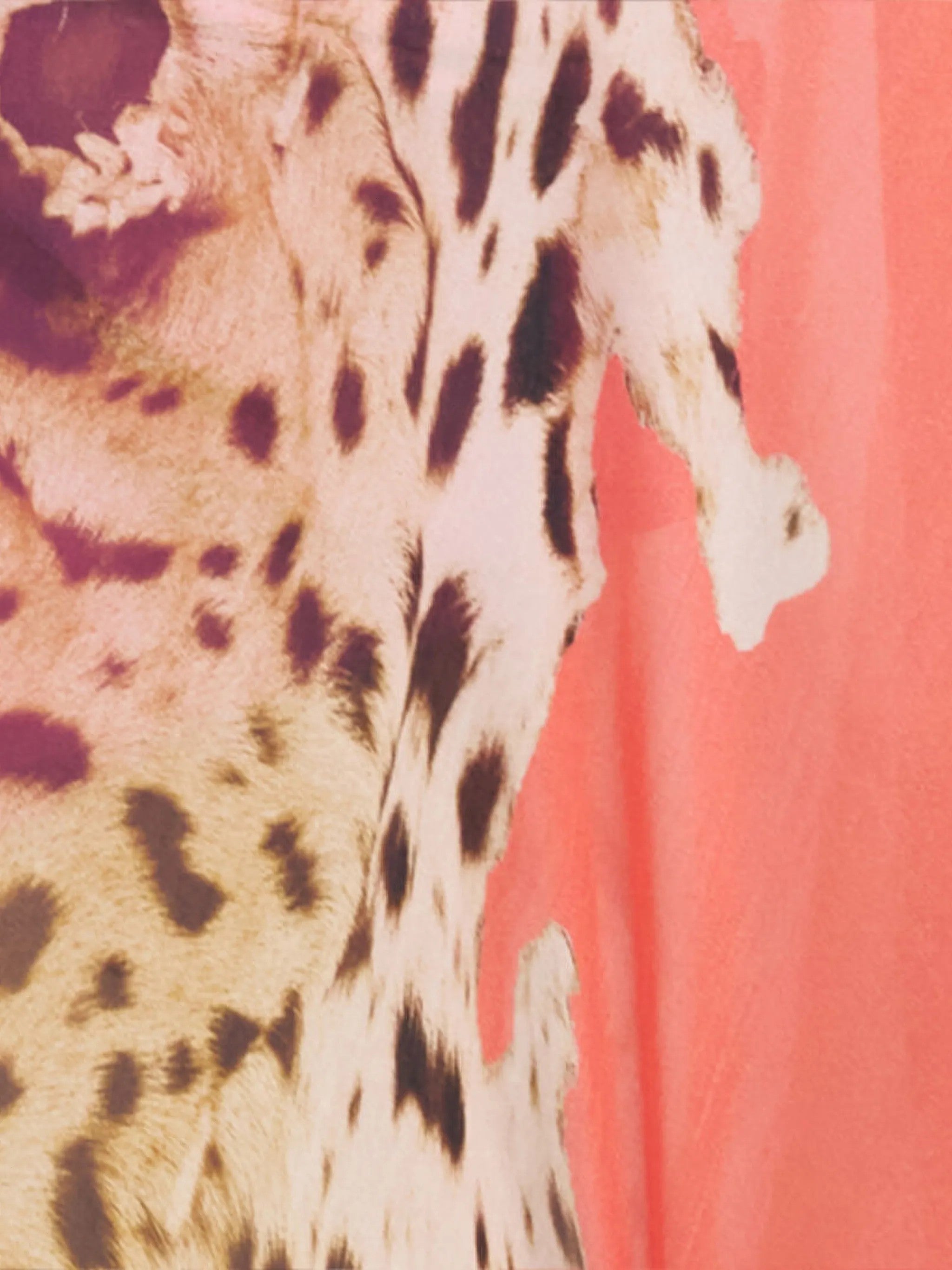 Roberto Cavalli Rot