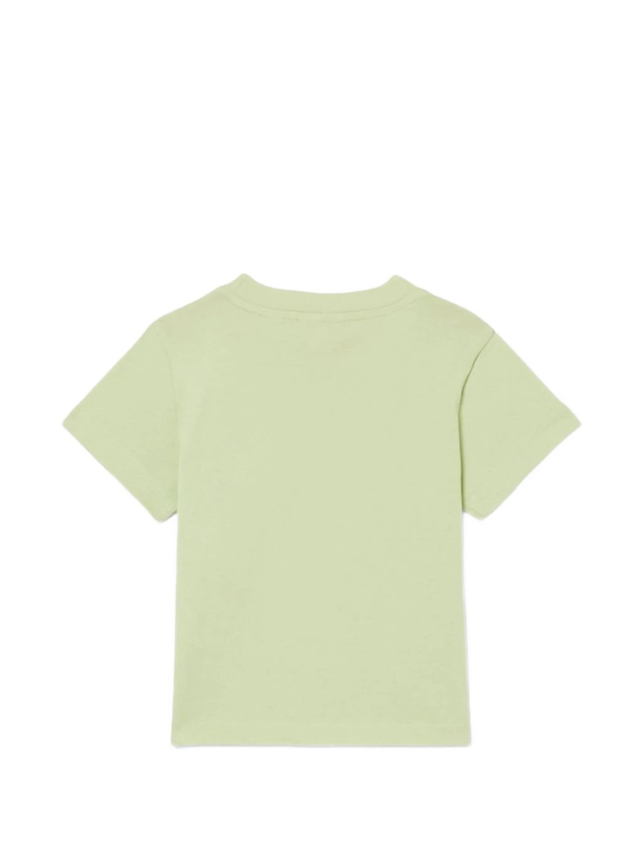 Lacoste Verde