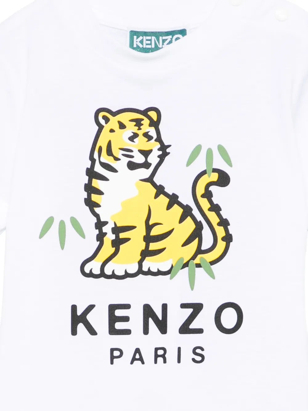 Kenzo Bianco