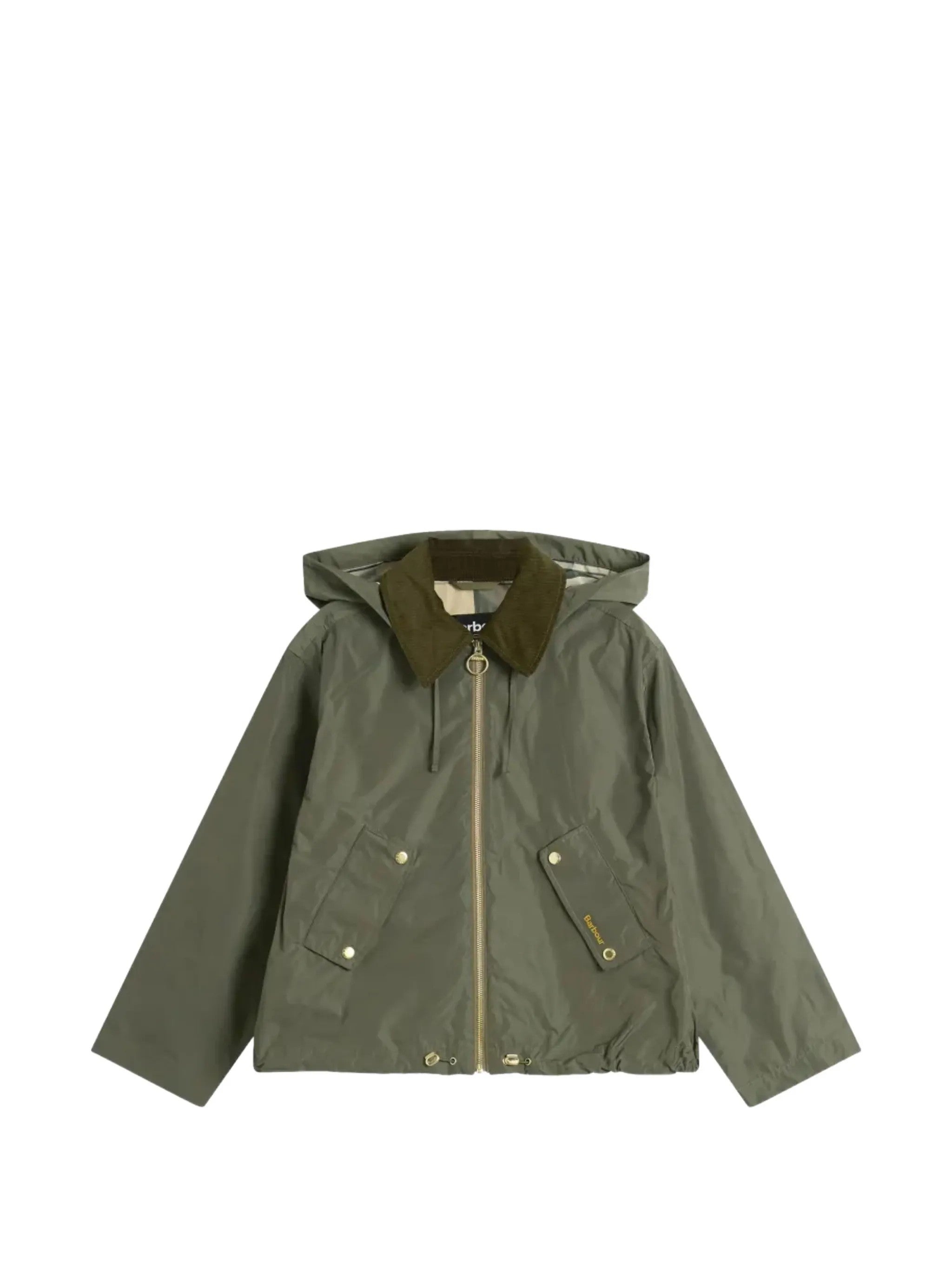 Barbour Verde