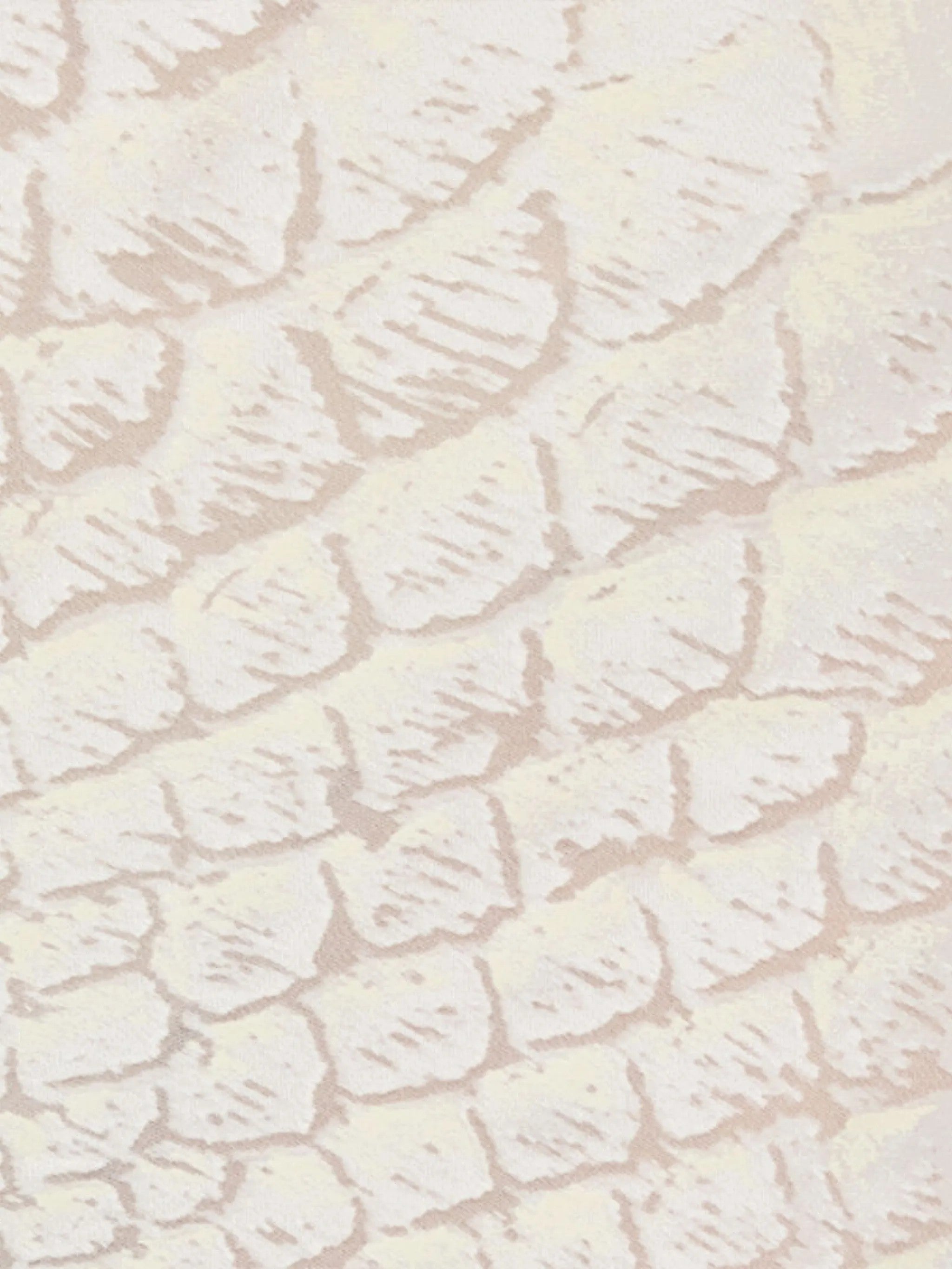 Roberto Cavalli White