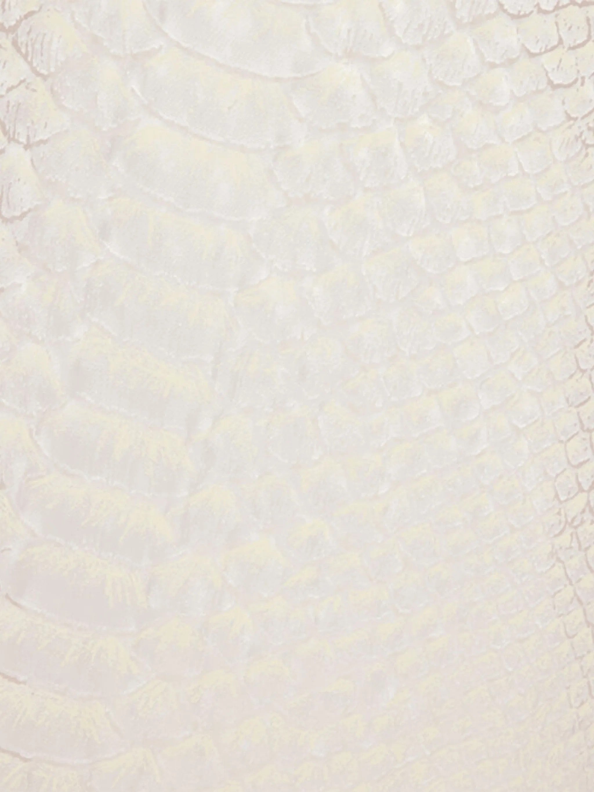 Roberto Cavalli White