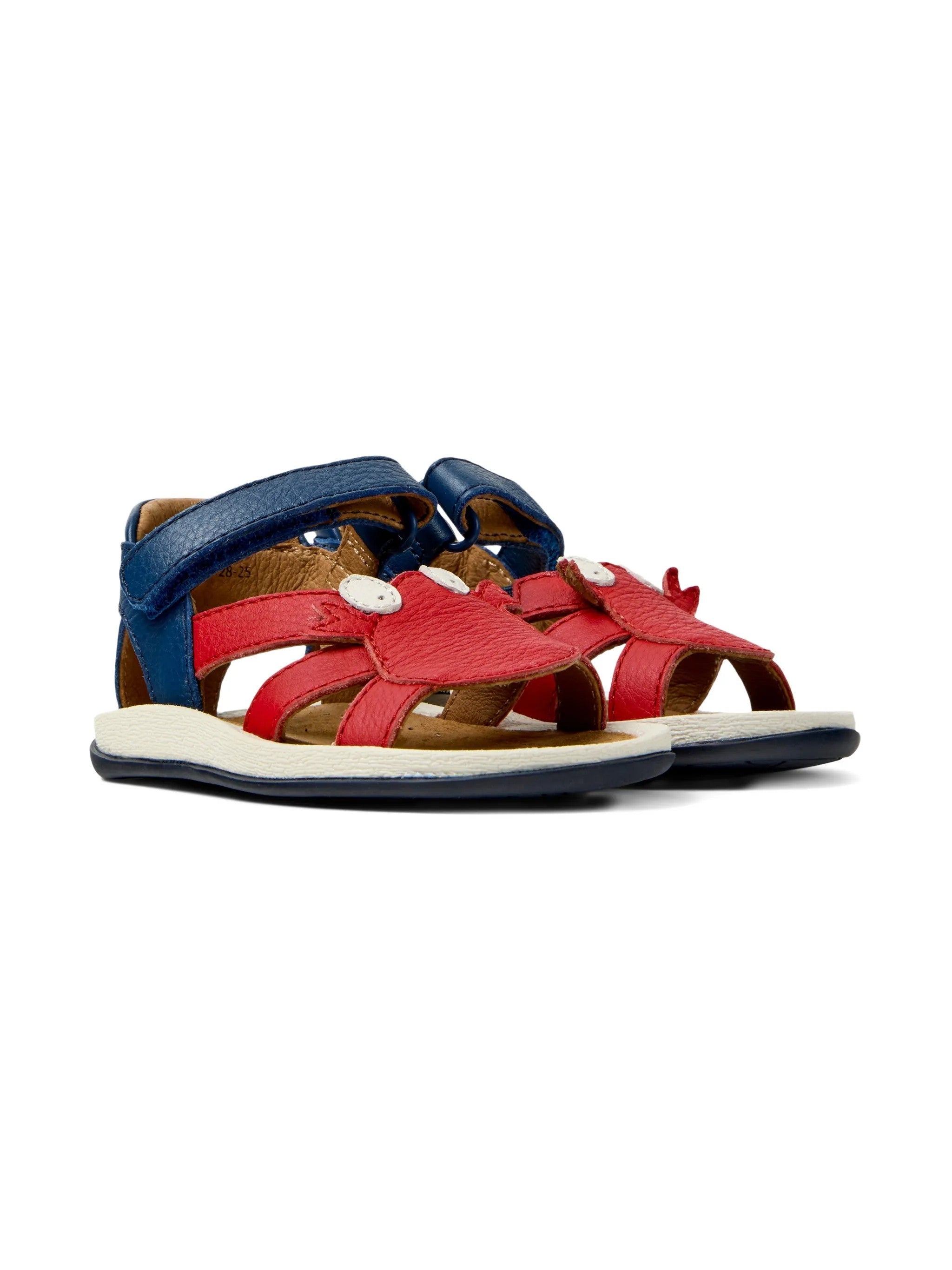 Camper Blu