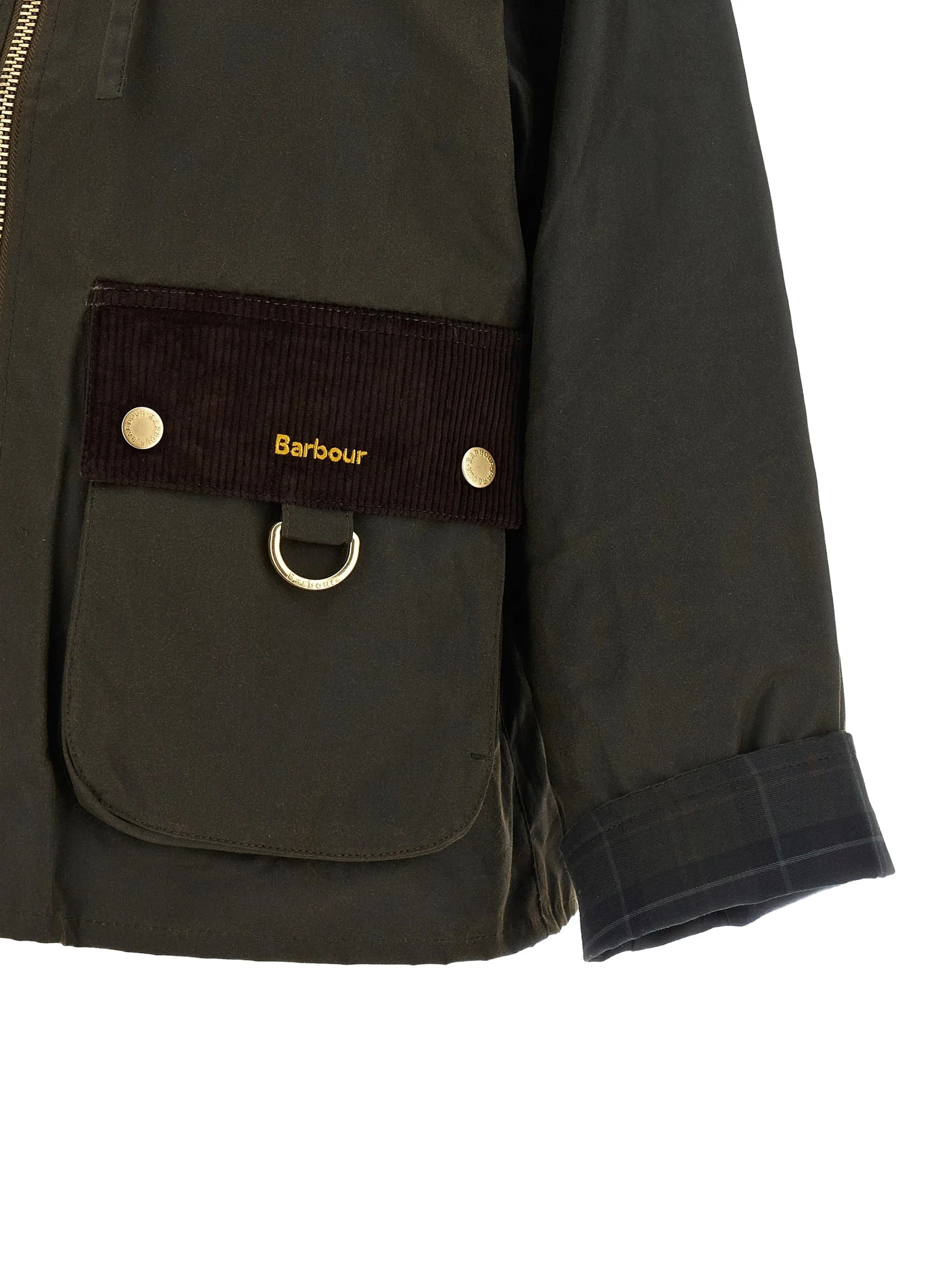Barbour Verde