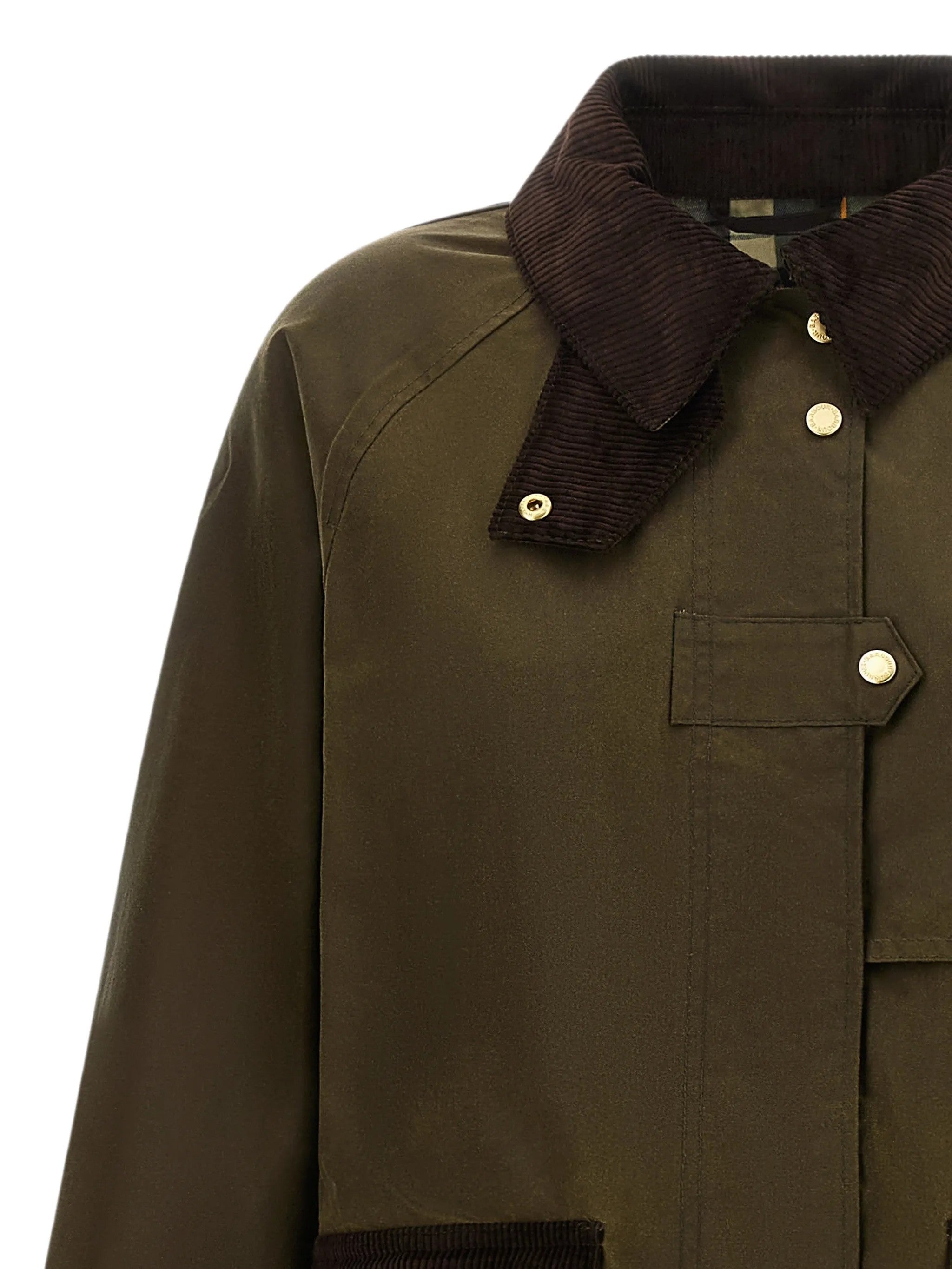 Barbour Verde
