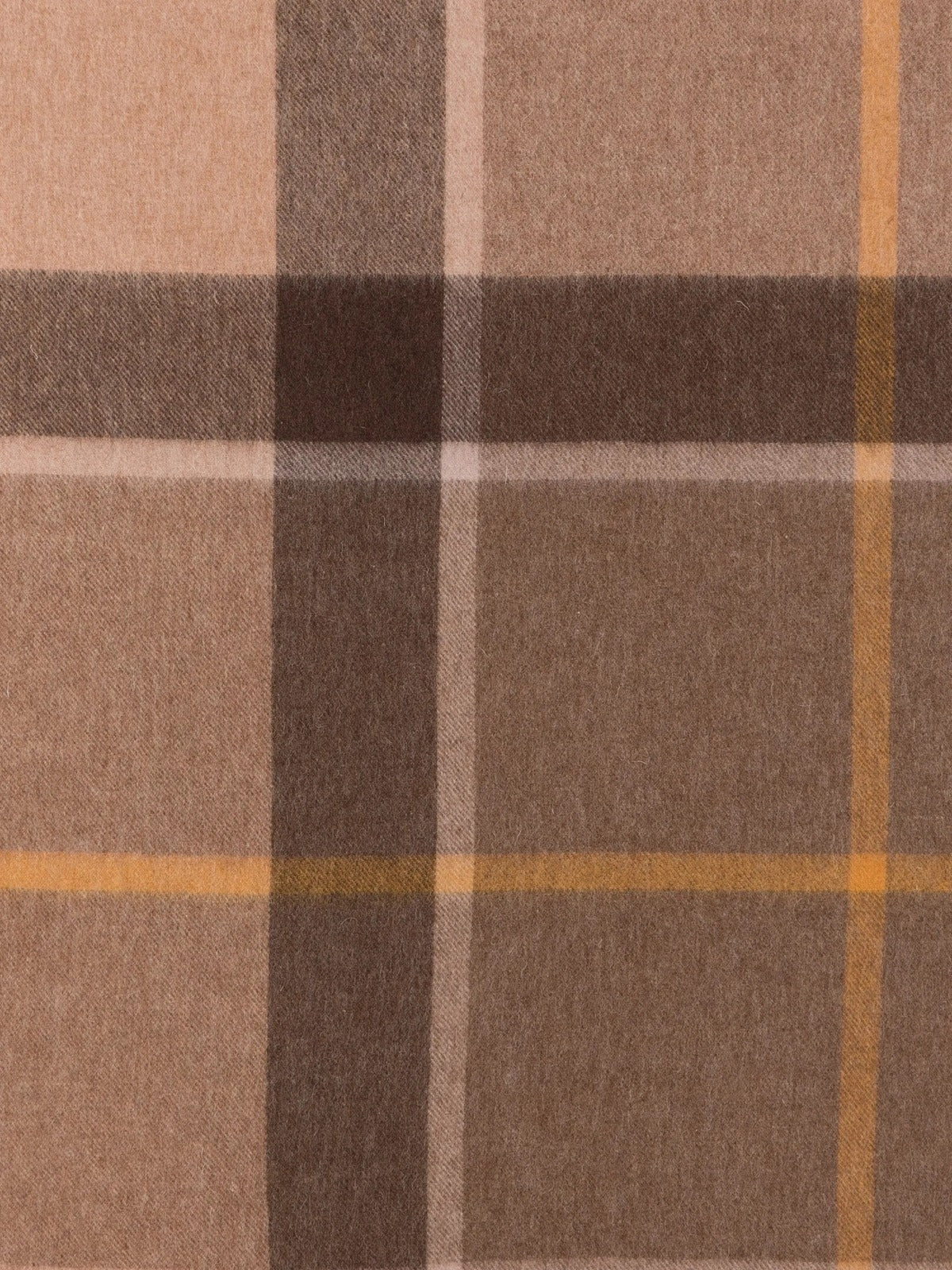 Barbour Neutro
