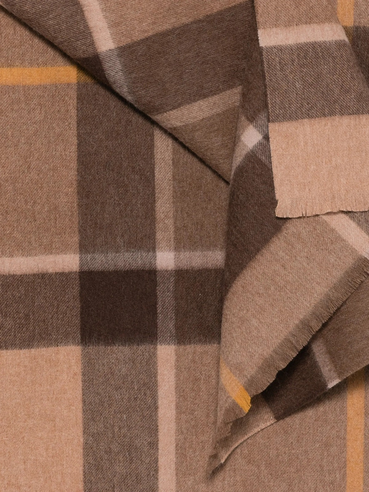 Barbour Neutro