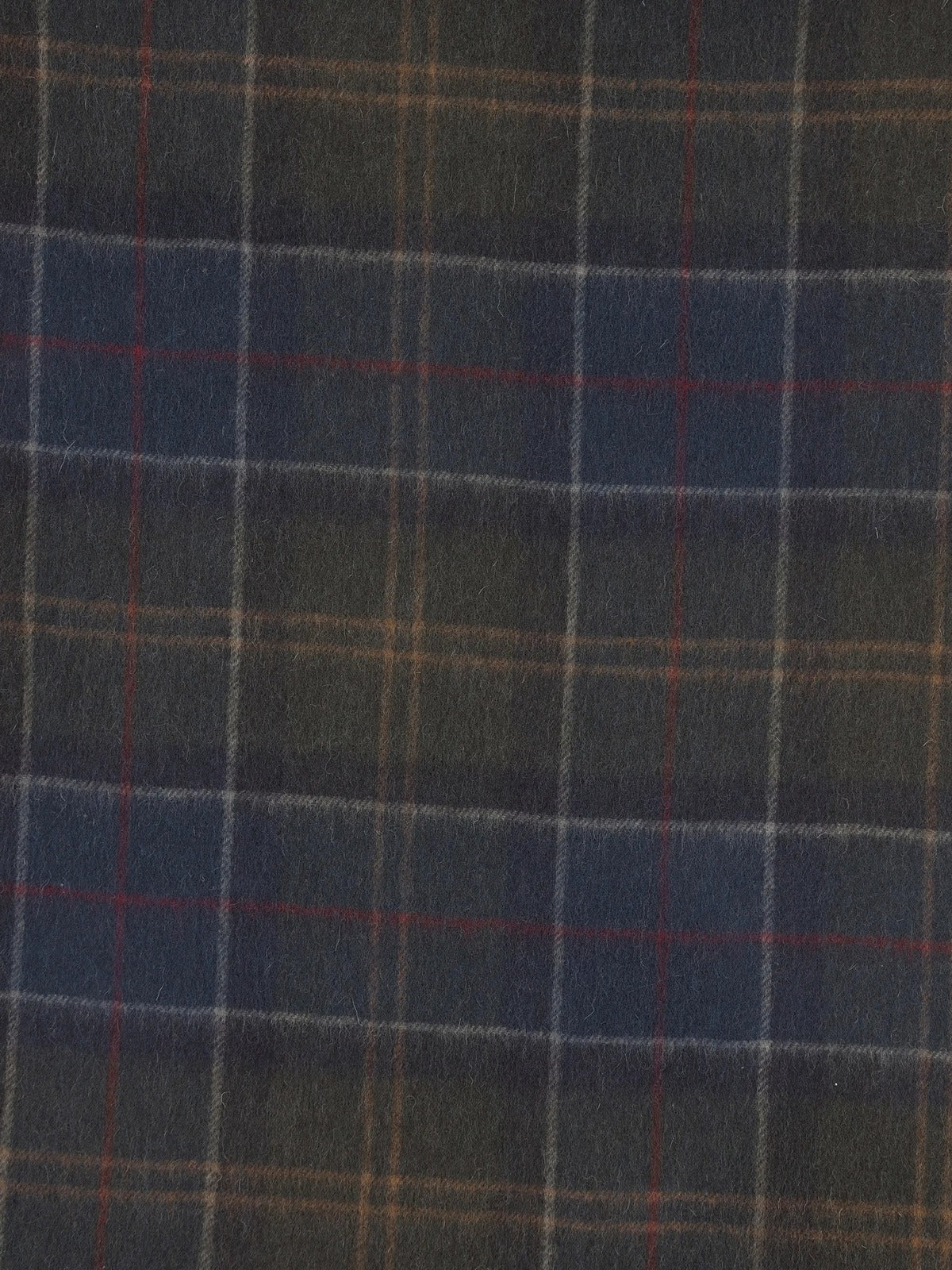 Barbour Verde