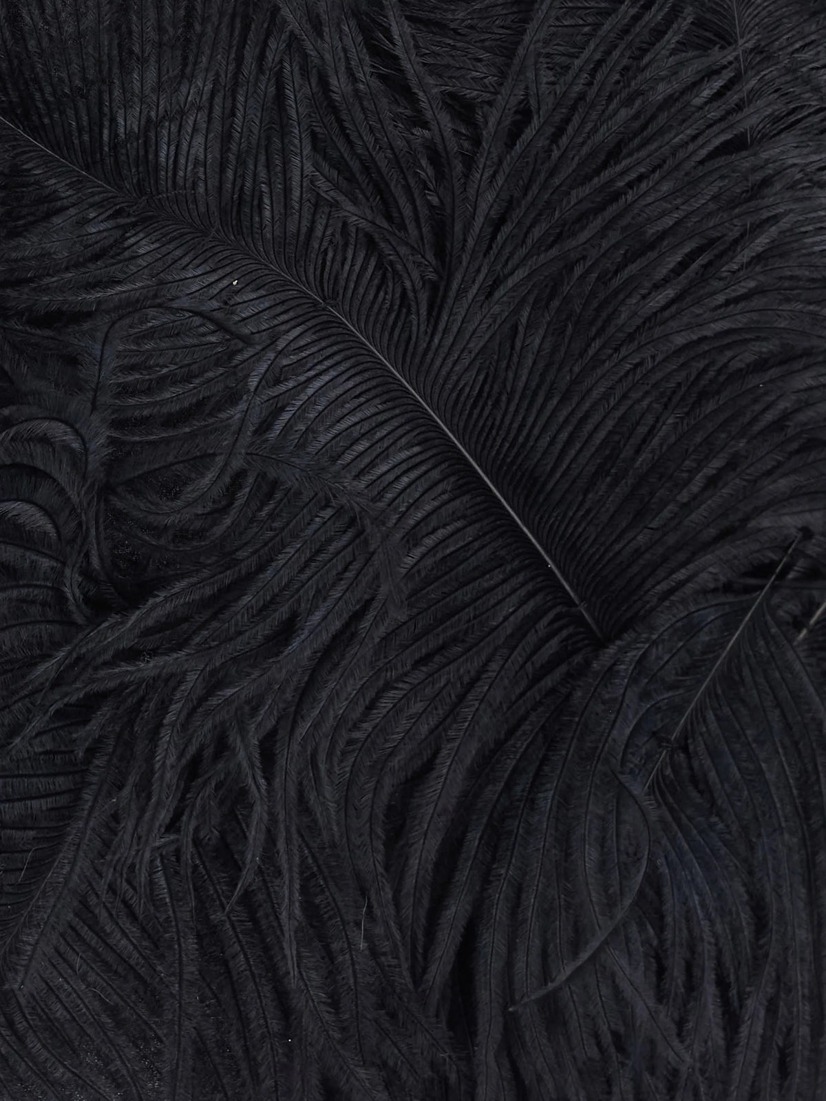 Semi-couture Minigonne da Donna Semi-couture, colore Nero Nero