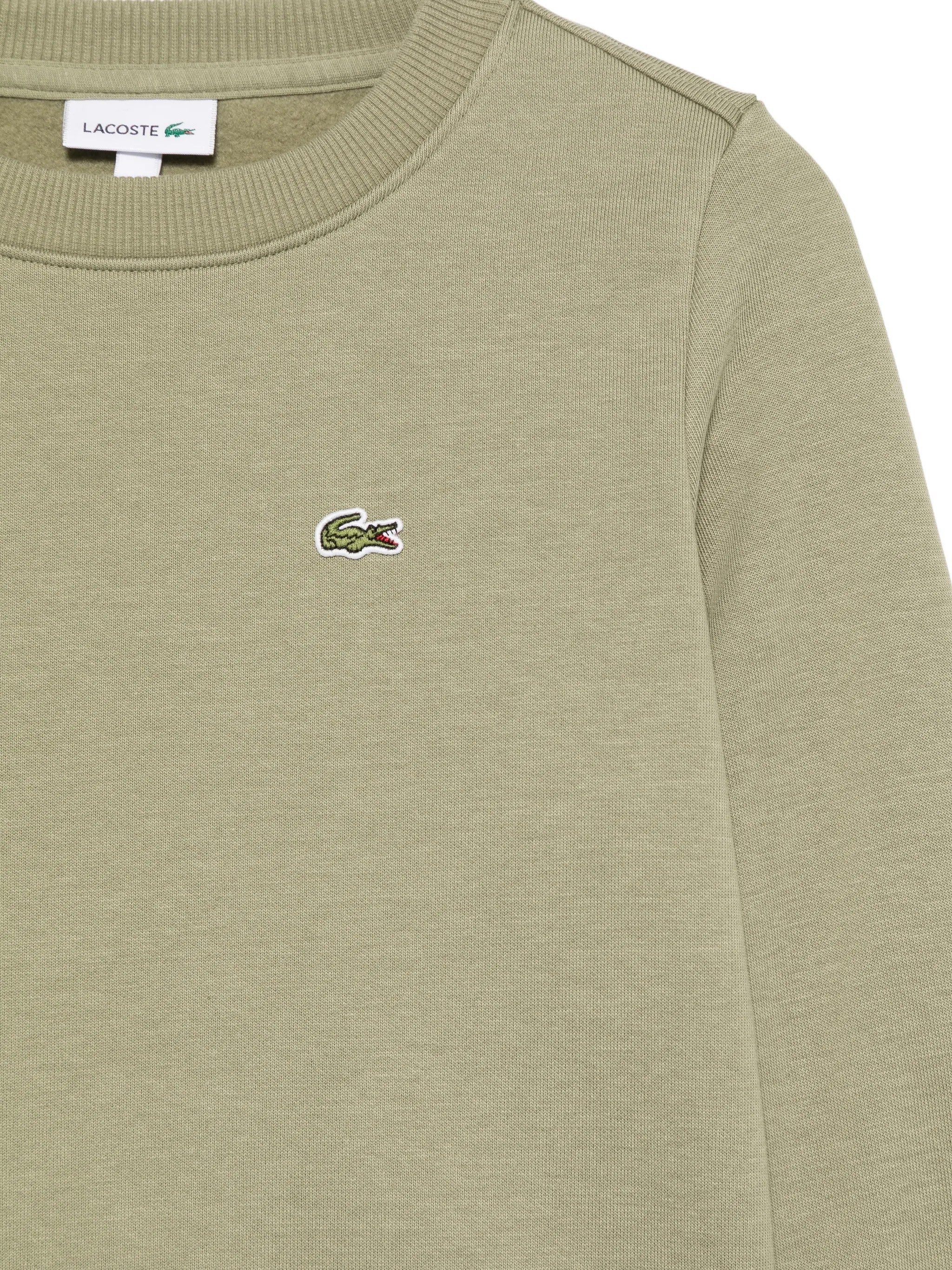 Lacoste Verde