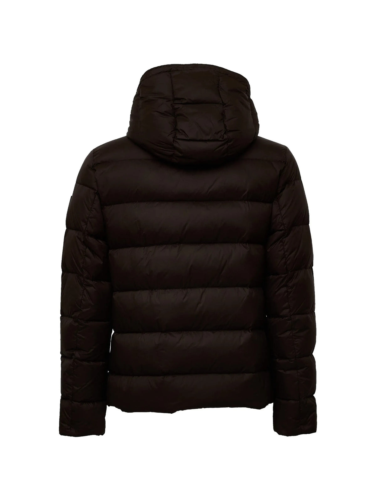 Fay Piumini corti da Uomo Fay, colore Marrone Marrone
