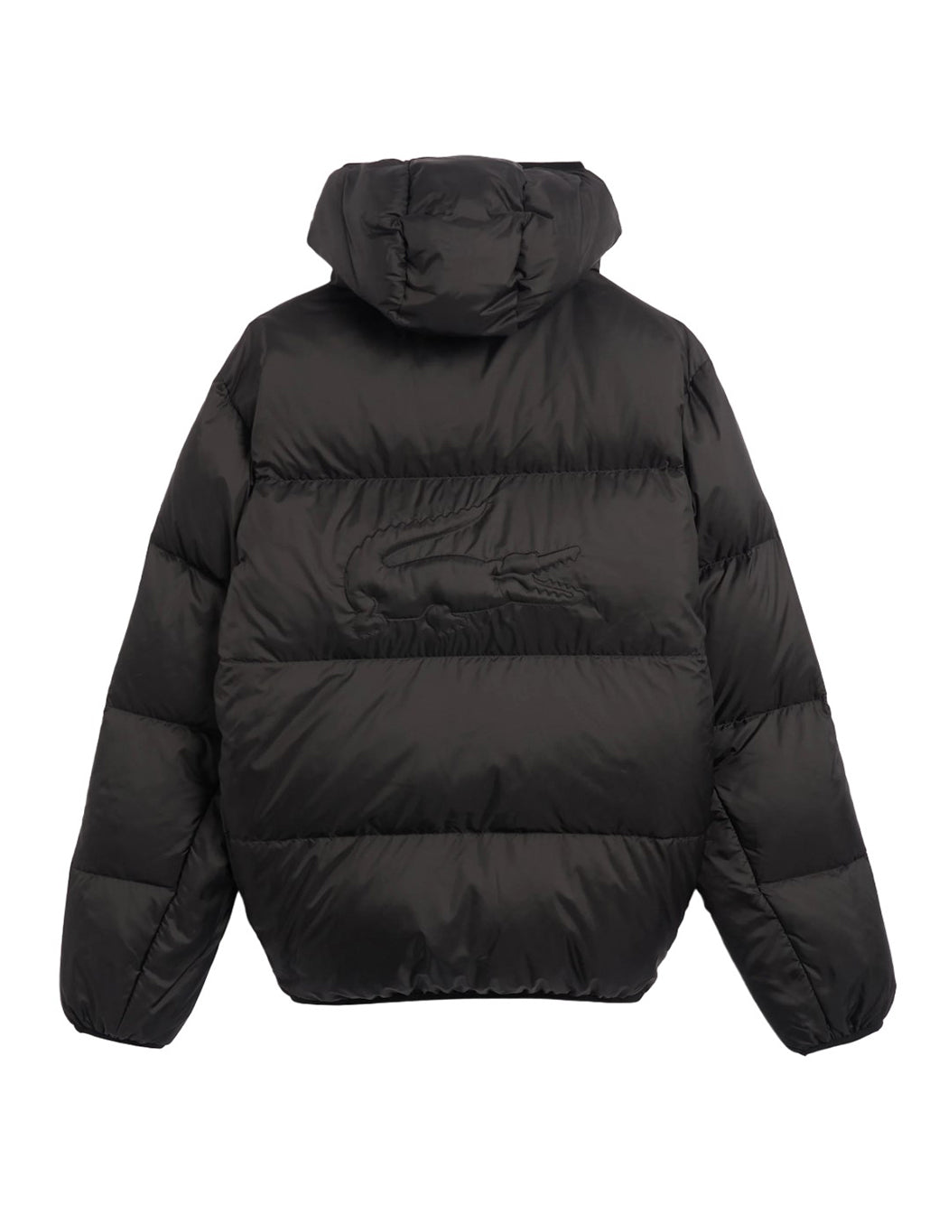 Lacoste PIUMINO IDROREPELLENTE Nero