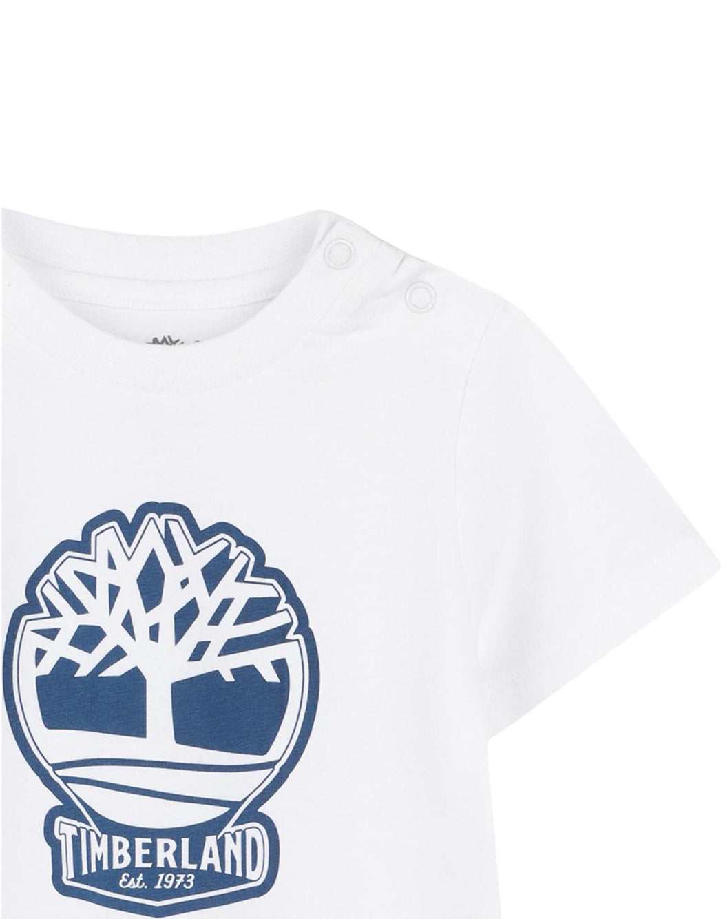 Timberland T-SHIRT CON STAMPA Bianco