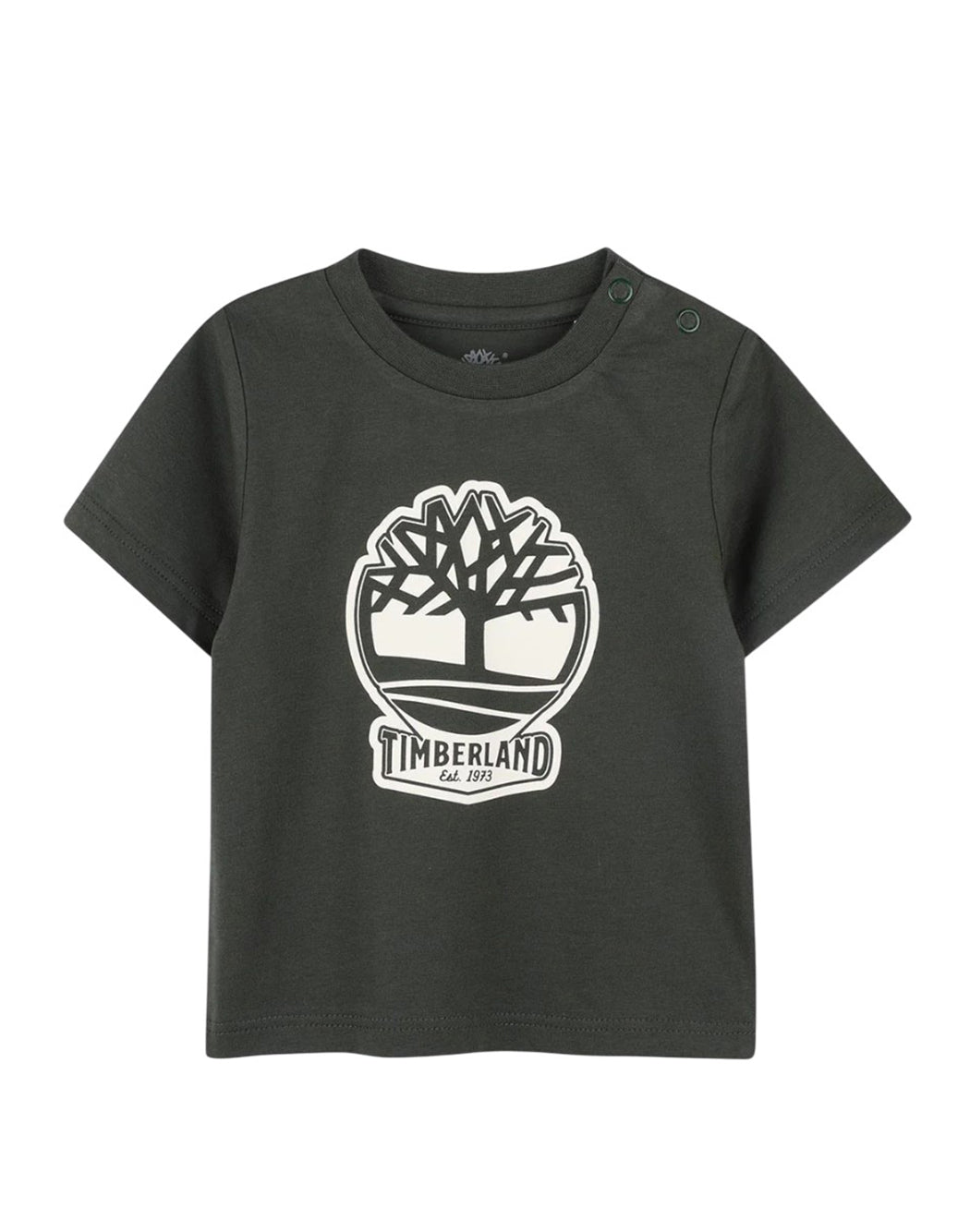 Timberland T-SHIRT CON STAMPA Verde