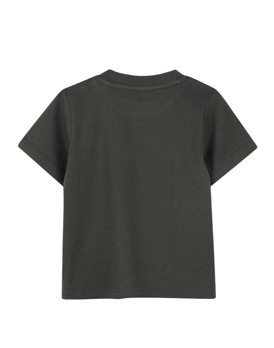 Timberland T-SHIRT CON STAMPA Verde