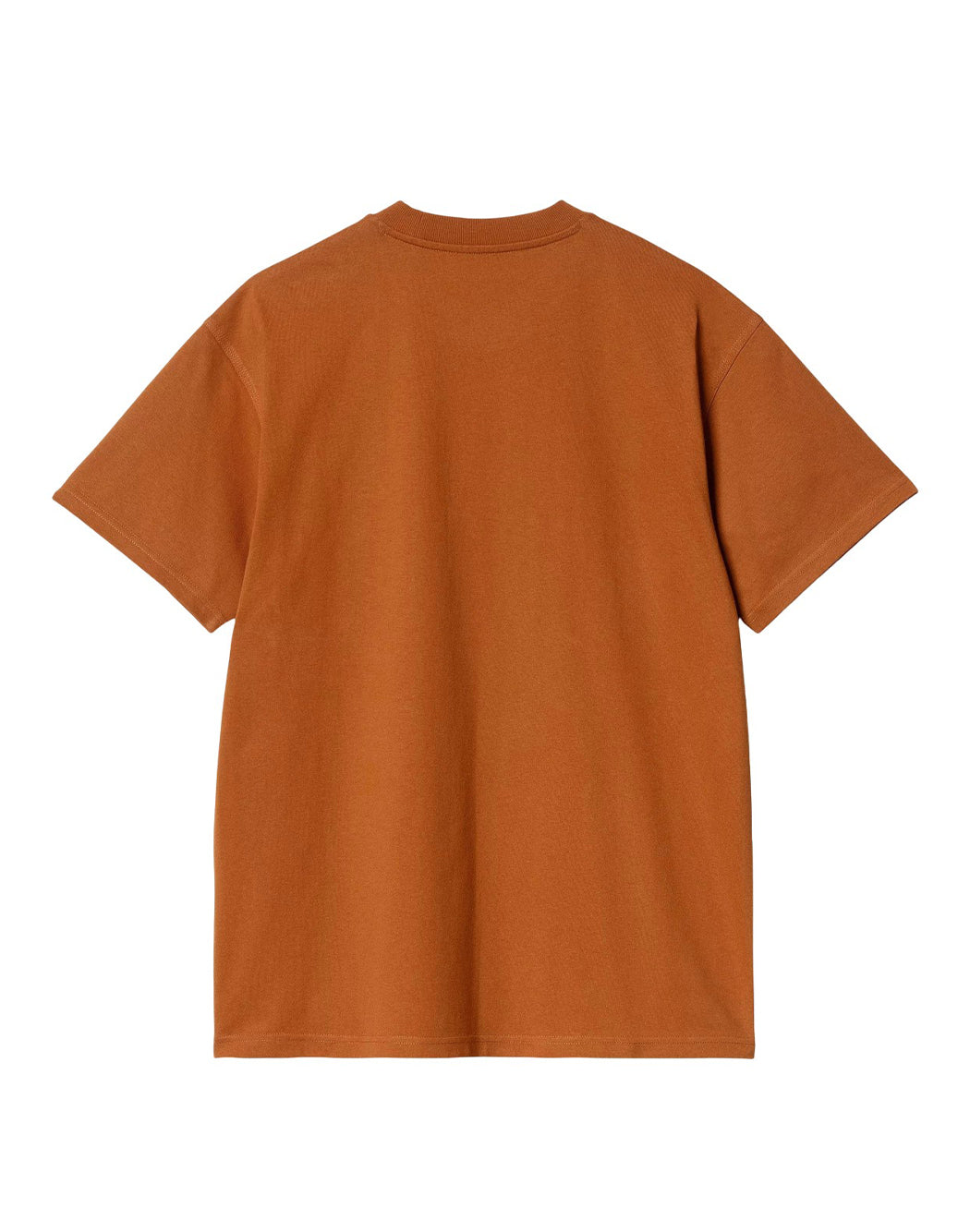 "Carhartt Wip T-SHIRT "AMERICAN SCRIPT" Blu"