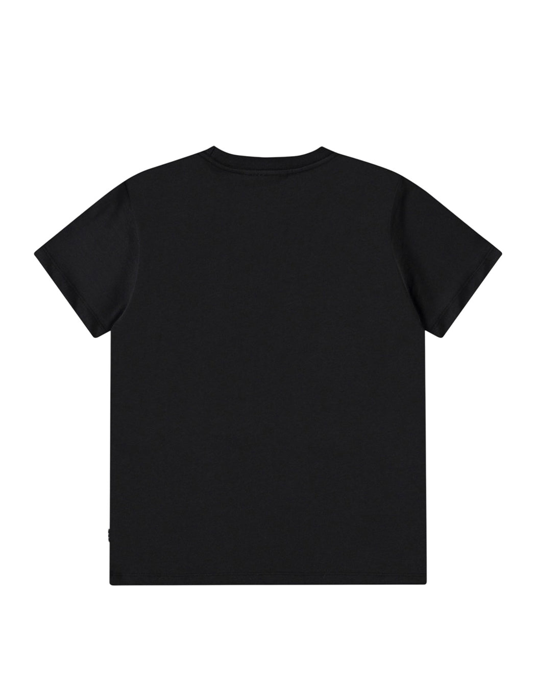 Molo  Nero
