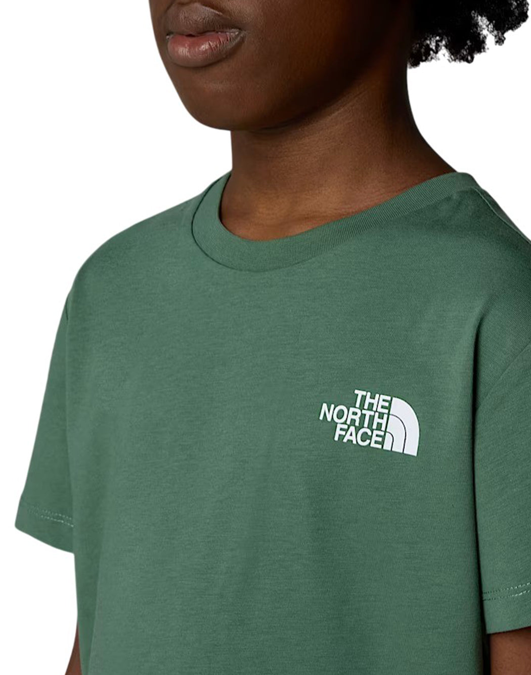 The North Face T-SHIRT SIMPLE DOME TEE Verde