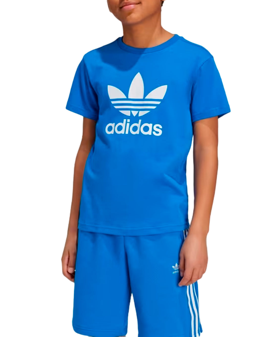 Adidas MAGLIA ADICOLOR TREFOIL Blu