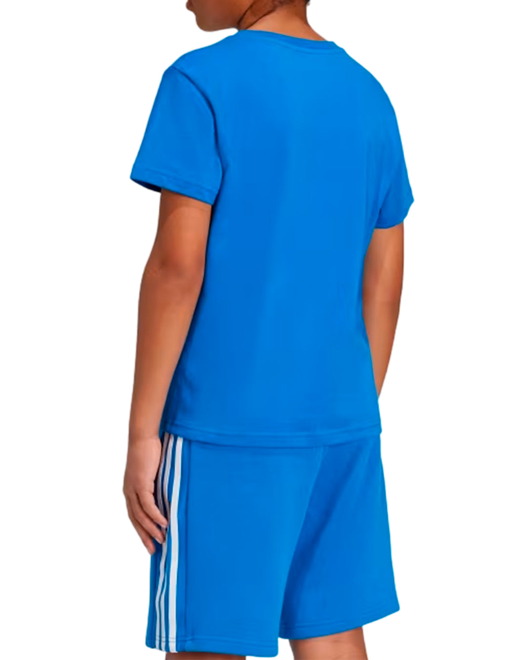 Adidas MAGLIA ADICOLOR TREFOIL Blu