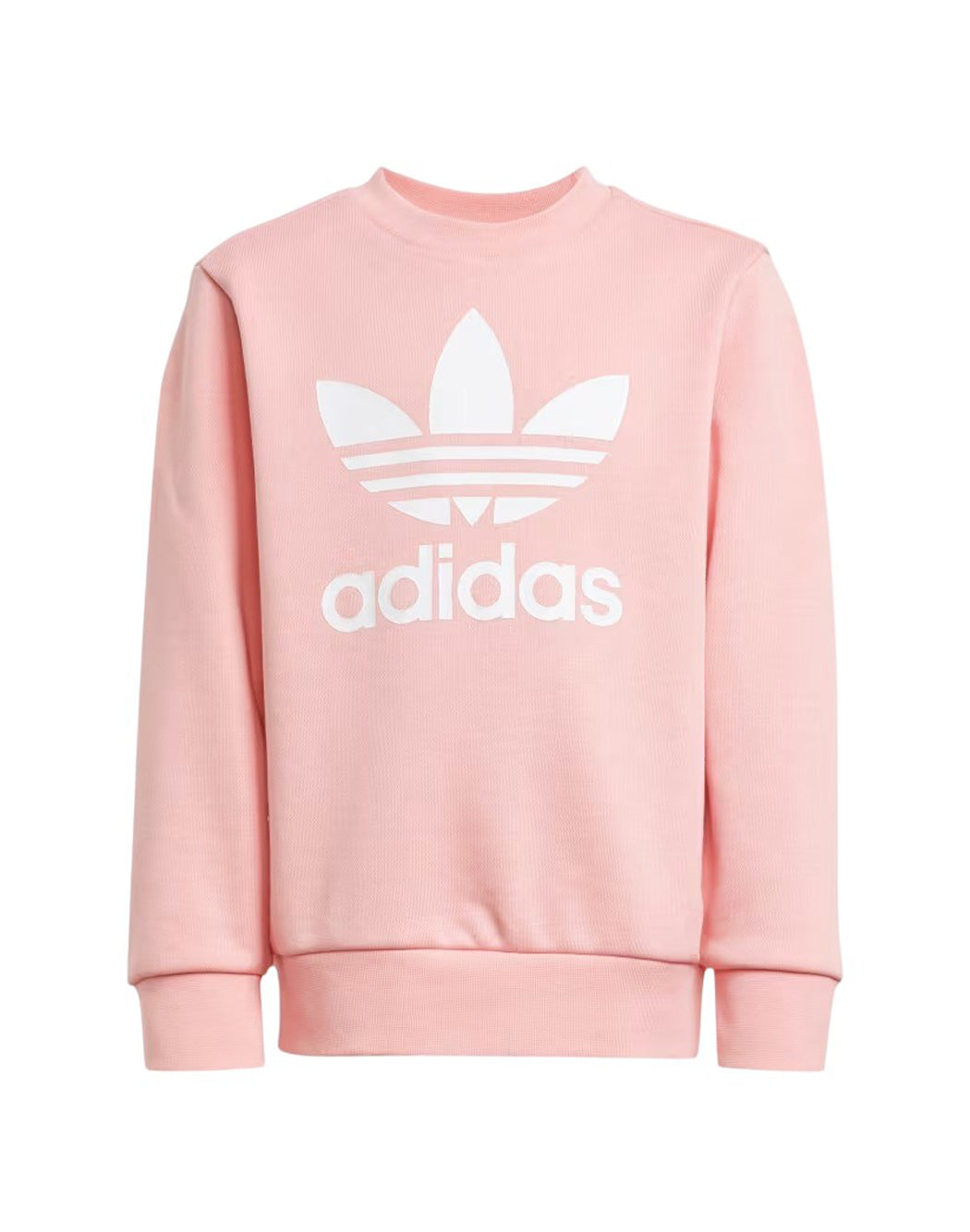 Adidas COMPLETO ADICOLOR CREW Rosa