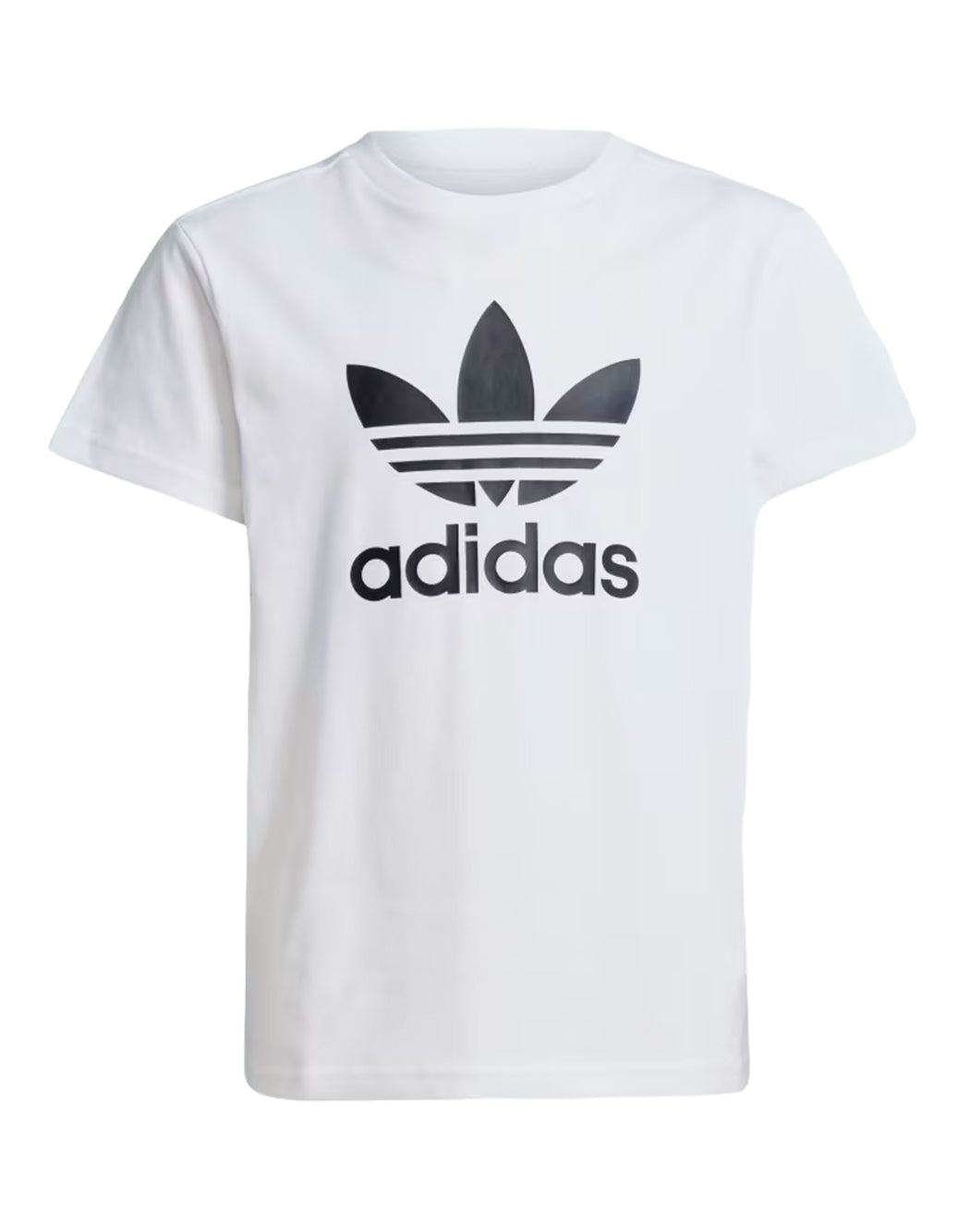 Adidas T-SHIRT ADICOLOR TREFOIL Bianco