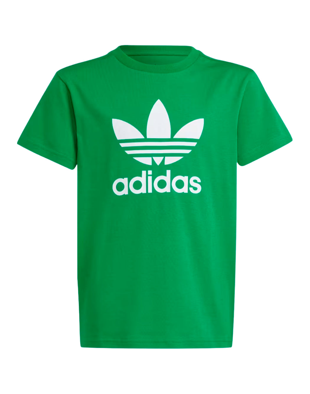 Adidas T-SHIRT TREFOIL Verde