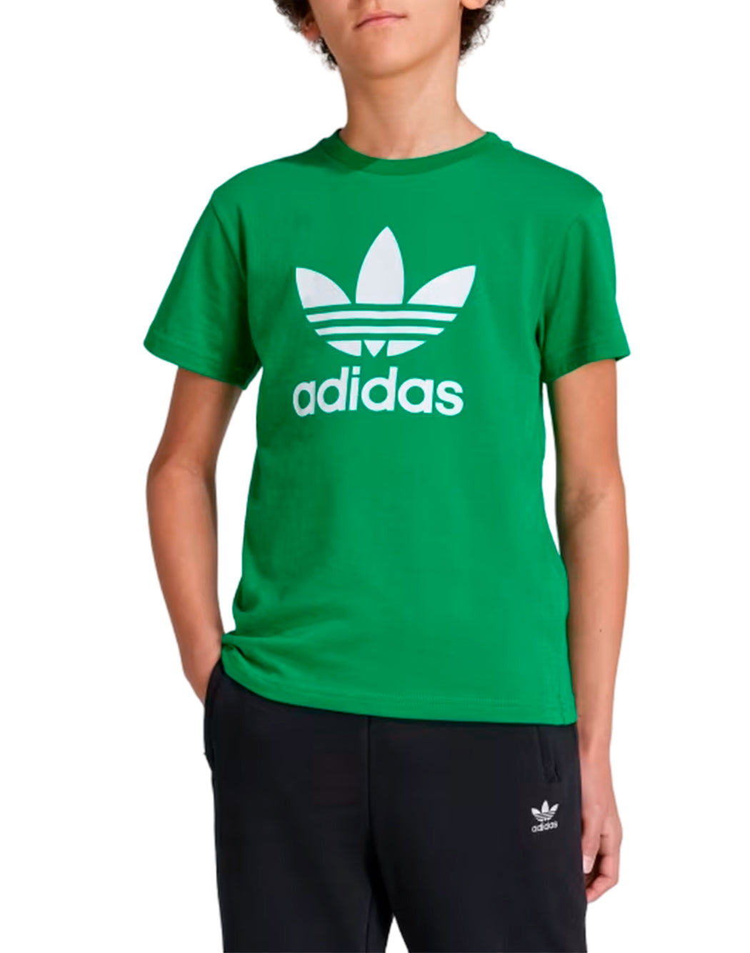 Adidas T-SHIRT TREFOIL Verde