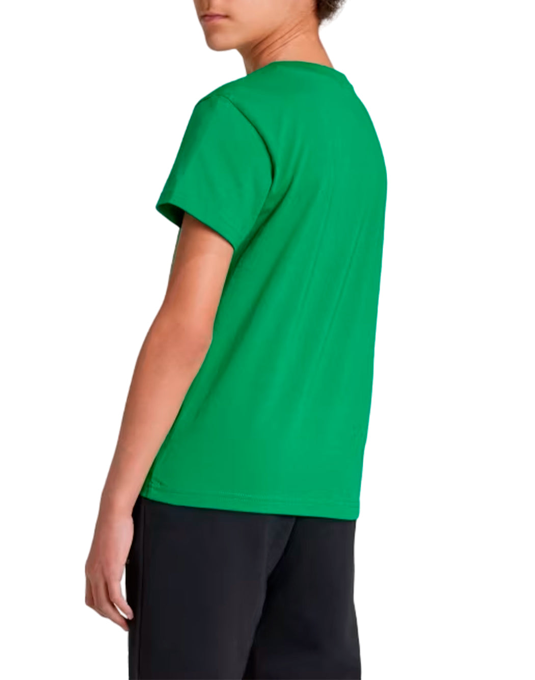 Adidas T-SHIRT TREFOIL Verde