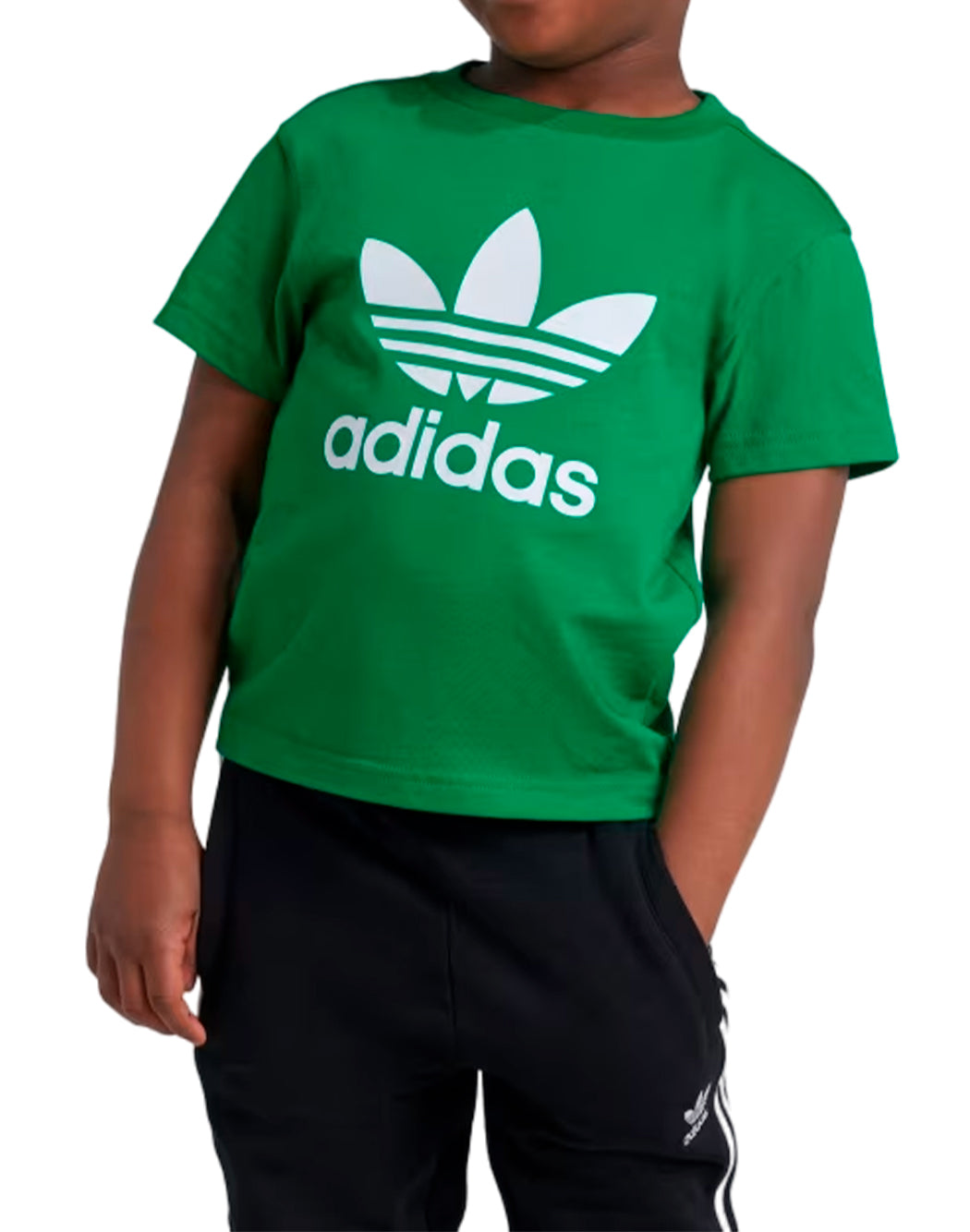 Adidas T-SHIRT ADICOLOR TREFOIL Verde