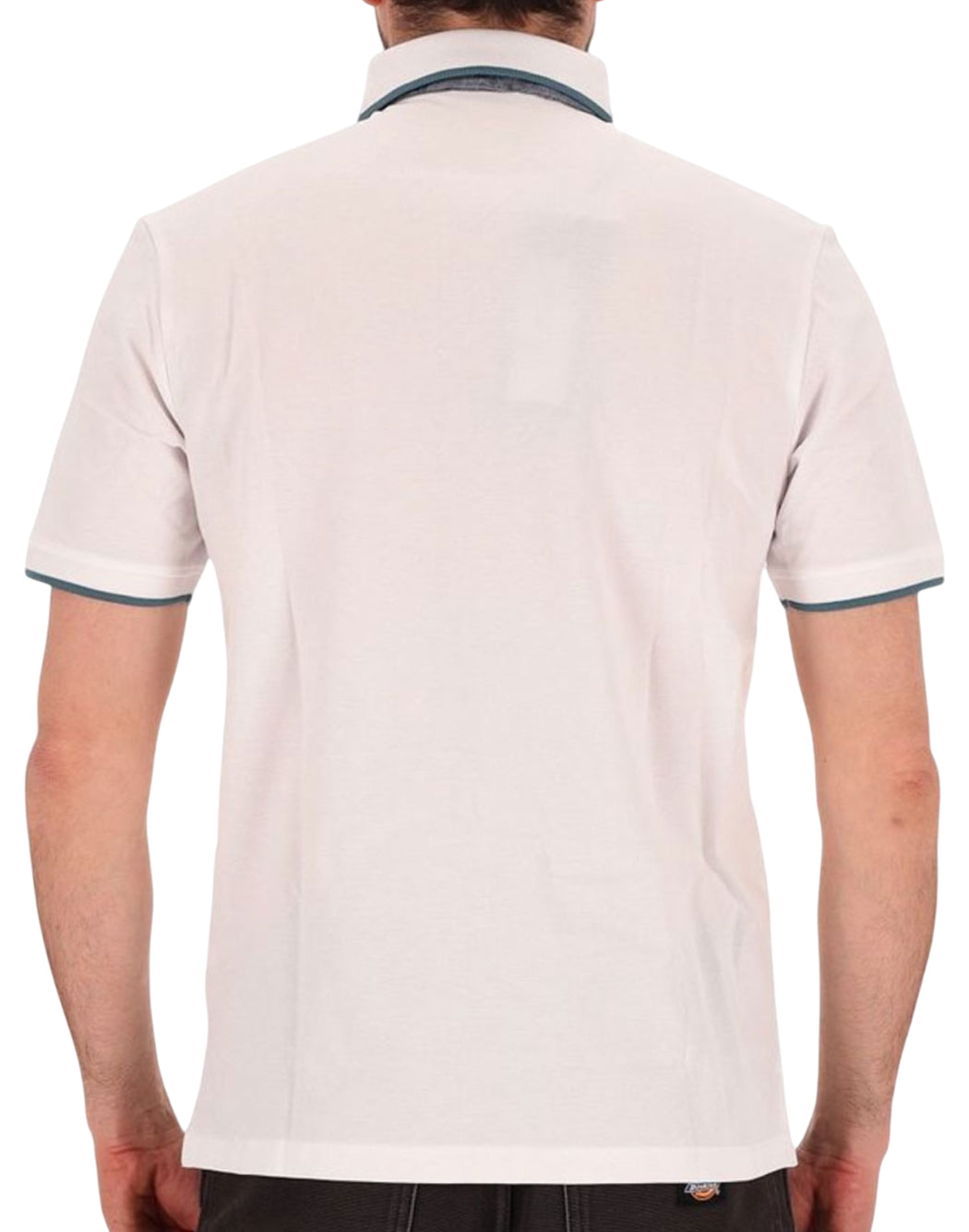 Blauer  Bianco