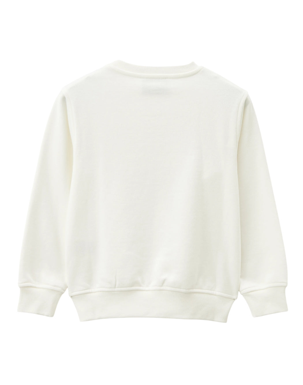 Iceberg  Bianco