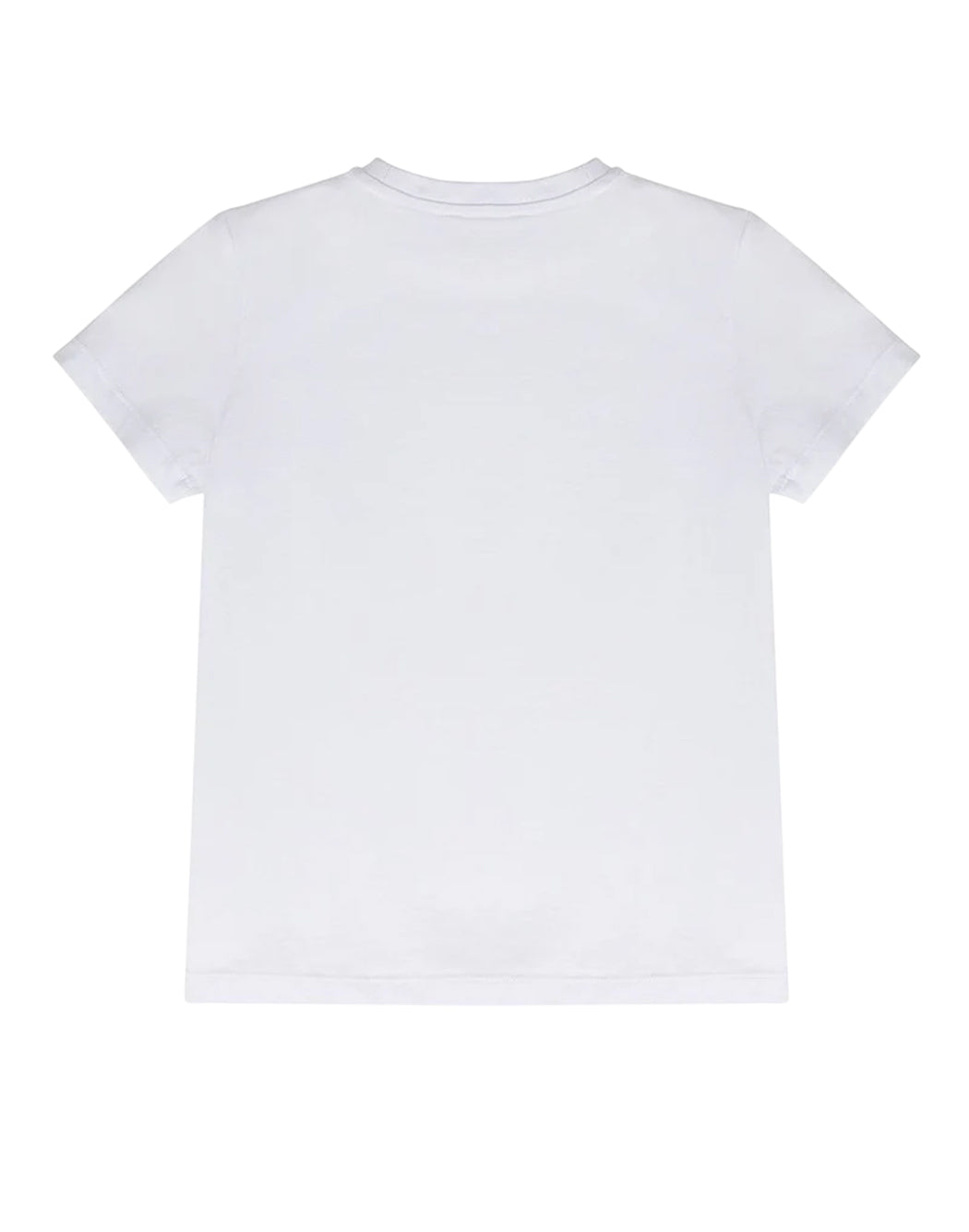 Iceberg  Bianco