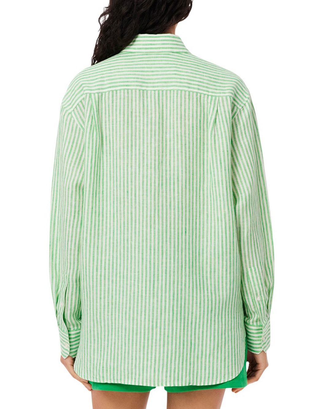 Lacoste  Verde