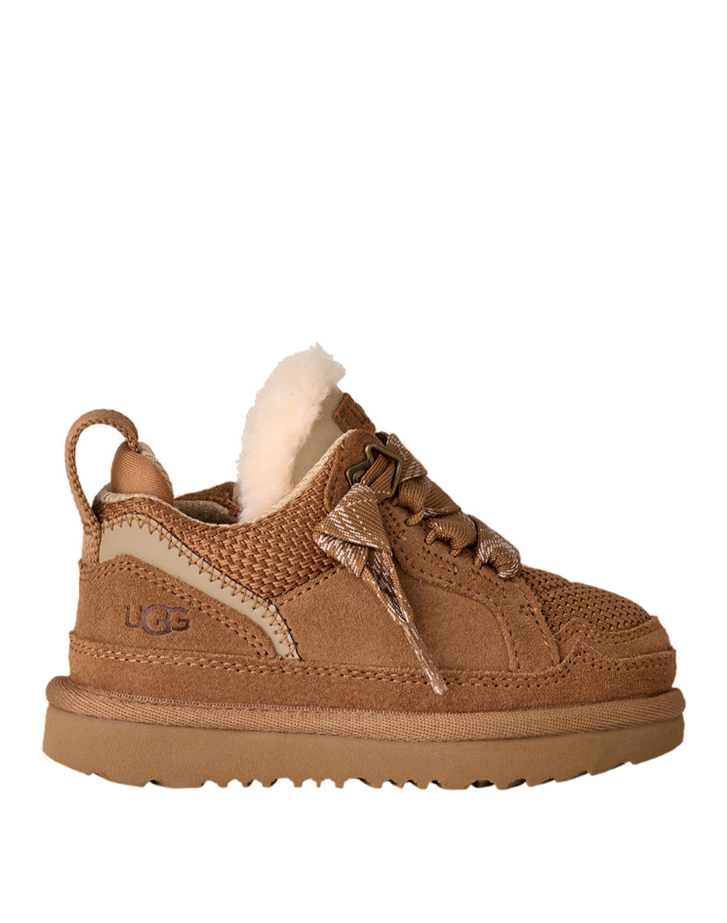 Ugg  Marrone