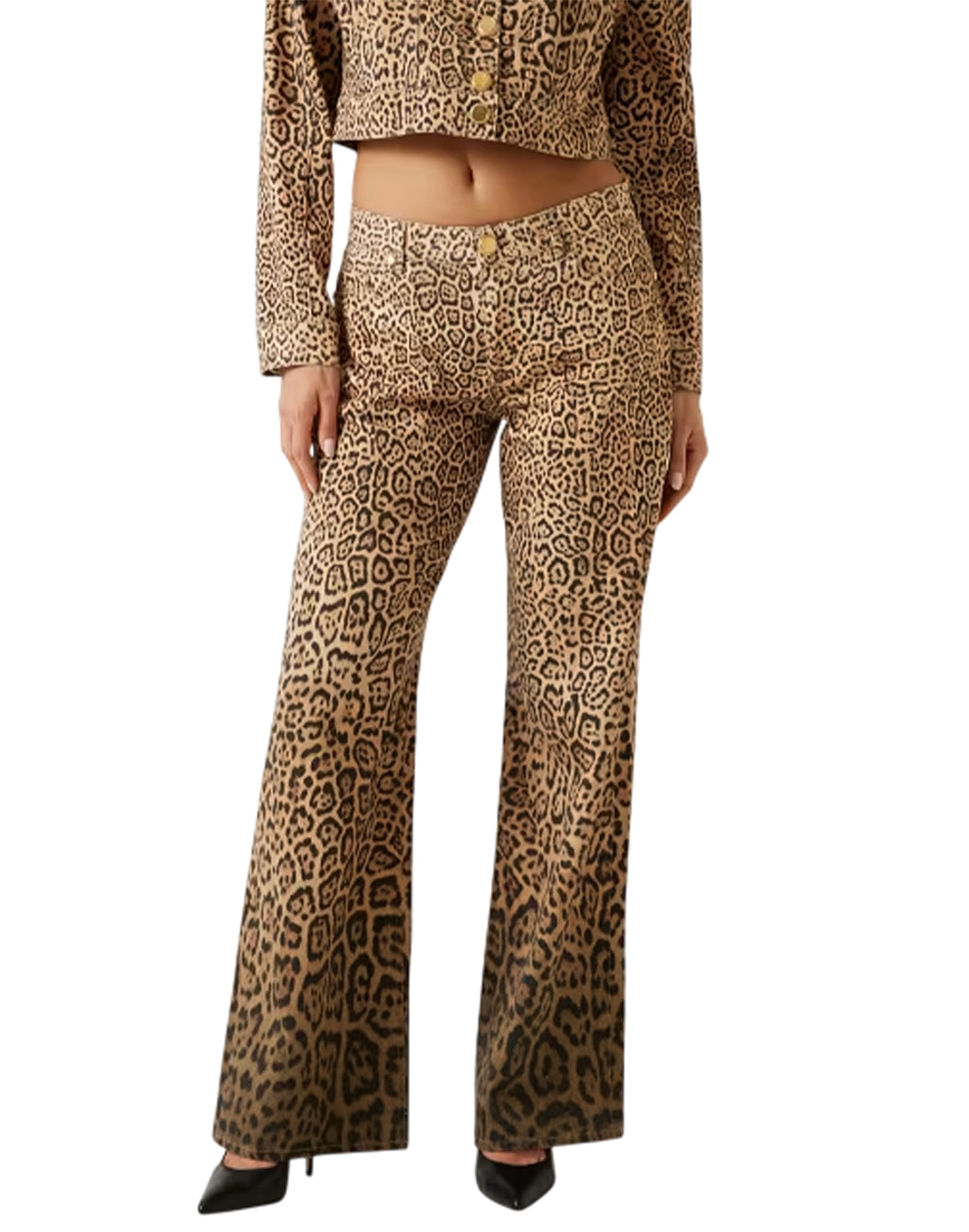 Marciano By Guess  Marrone