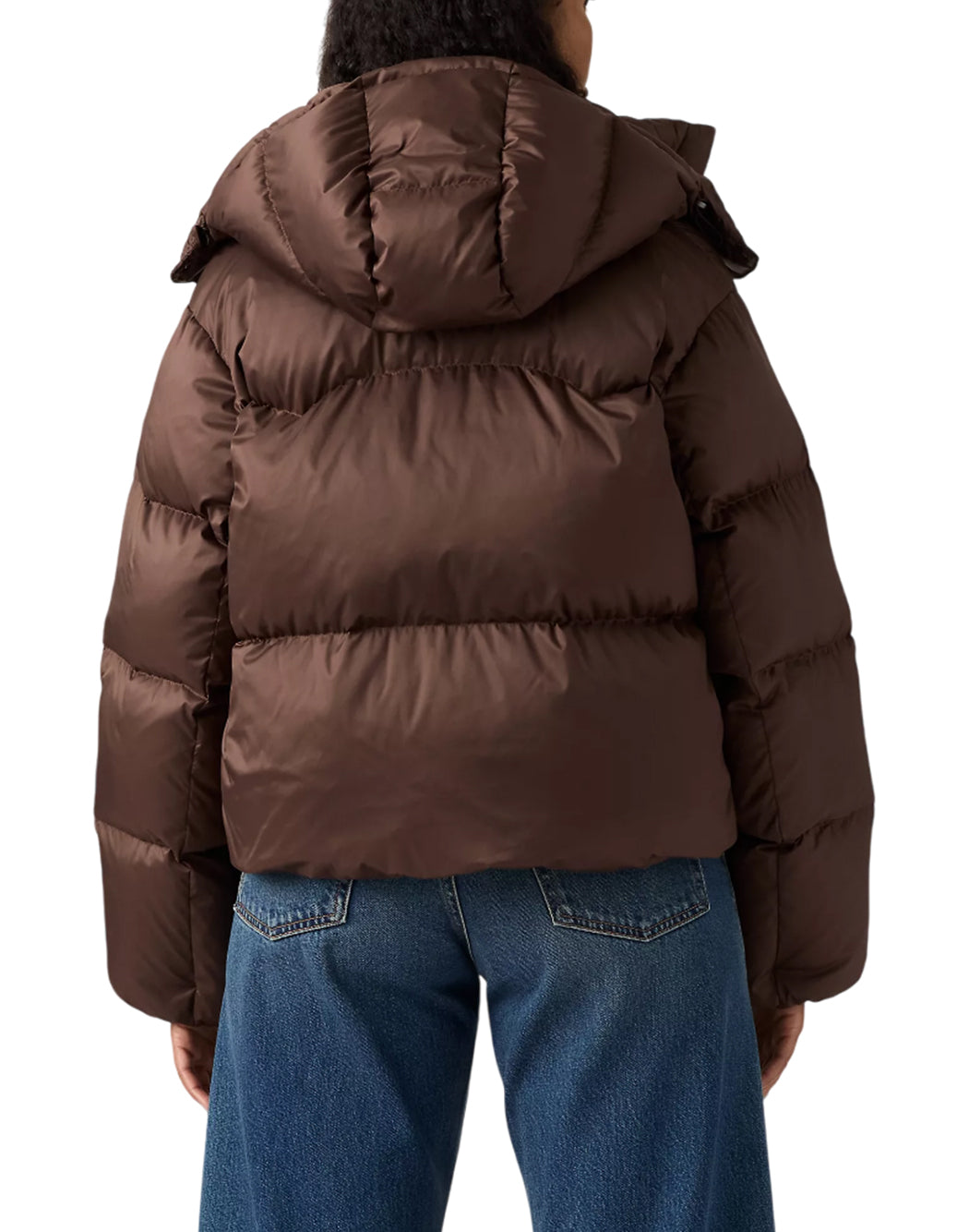 Levi's  Marrone