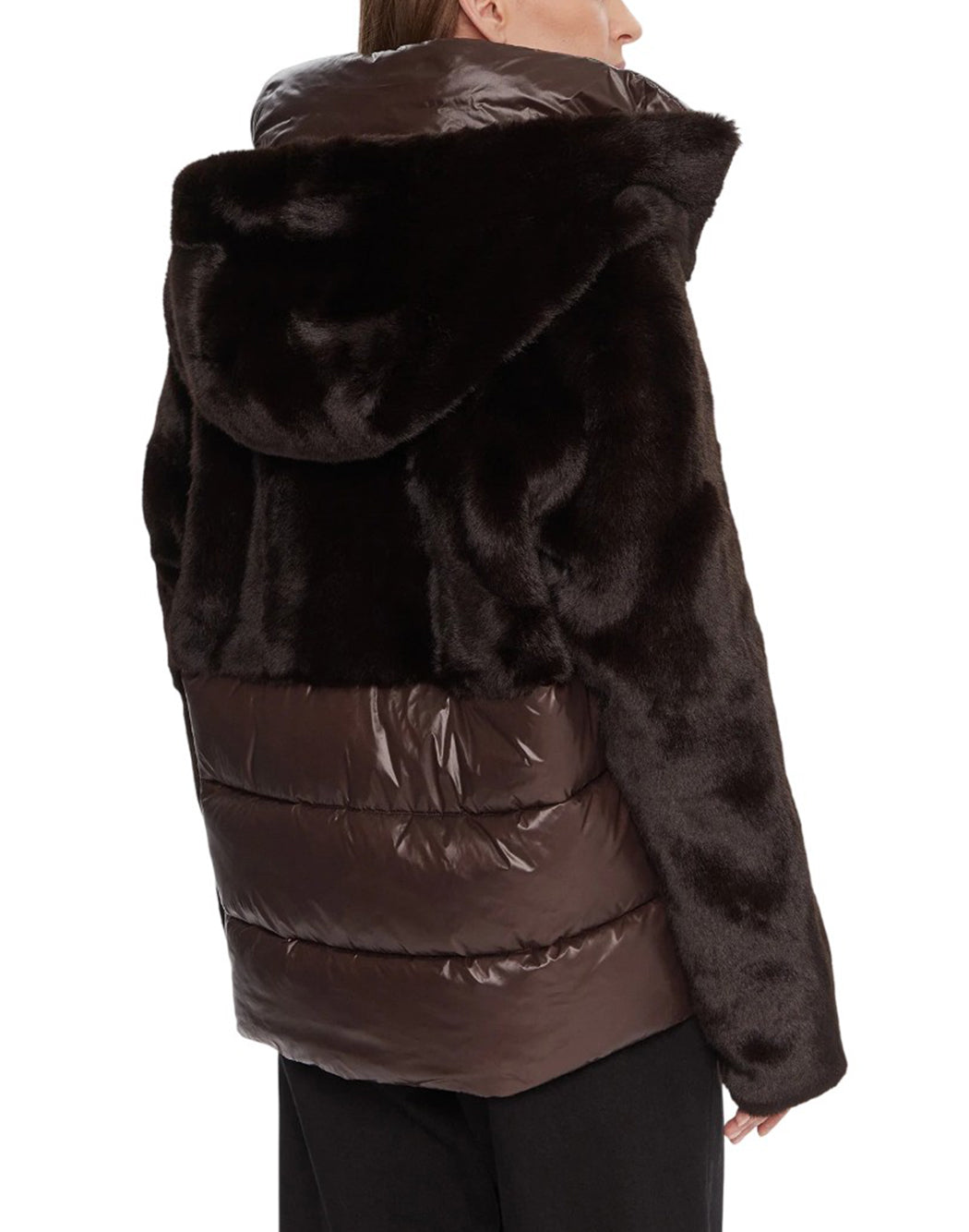 Blauer  Marrone