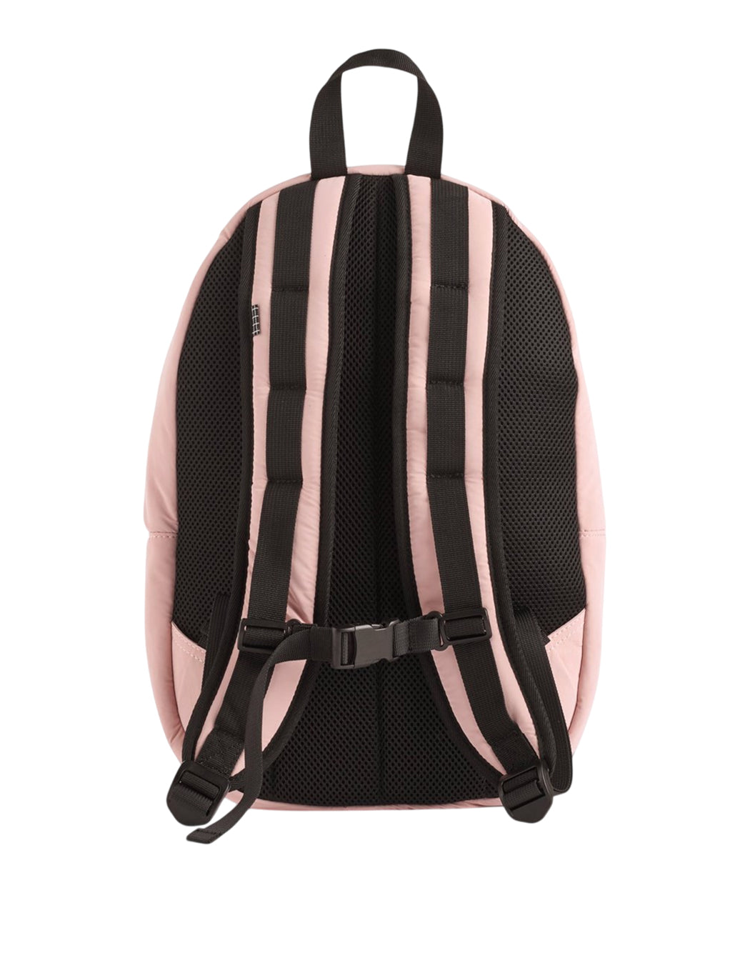 Molo  Rosa