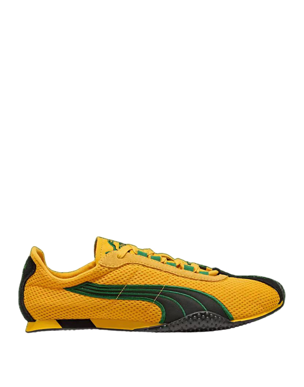 Puma  Giallo