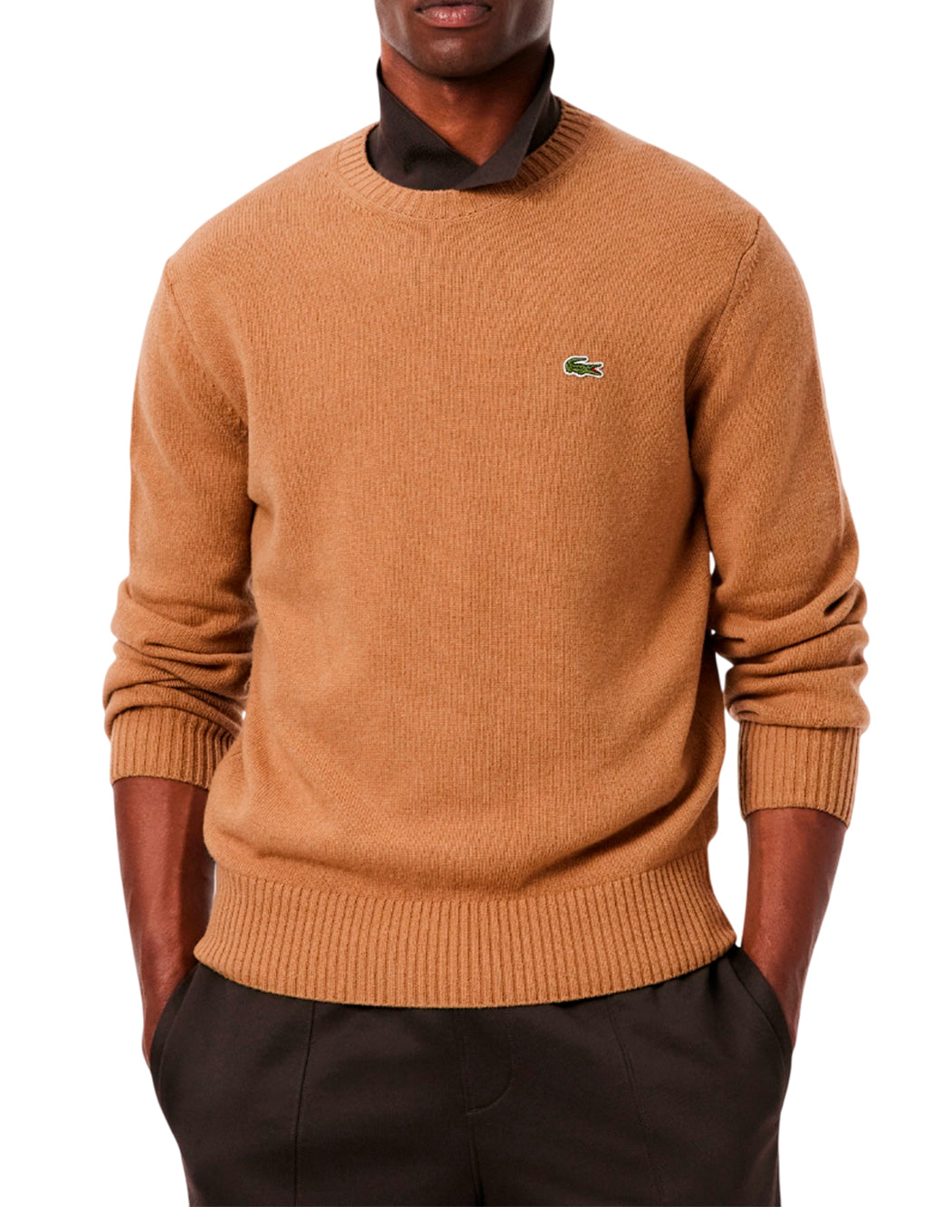 Lacoste  Neutro