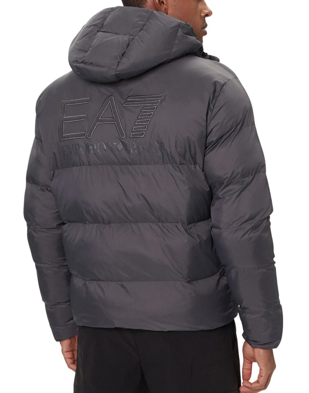 Ea7  Grigio