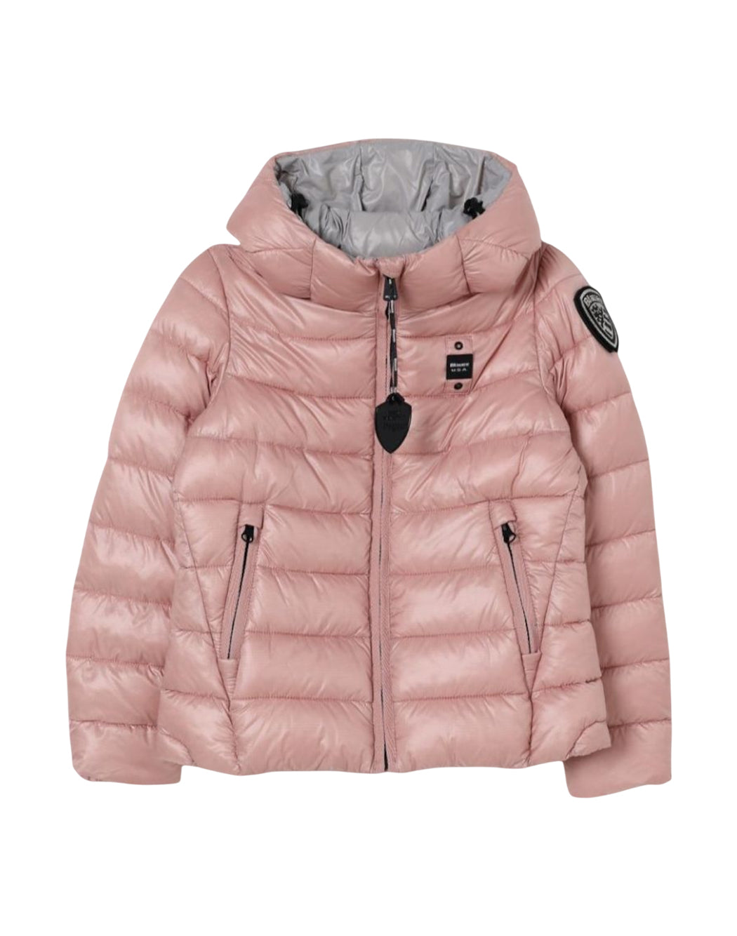 Blauer  Rosa