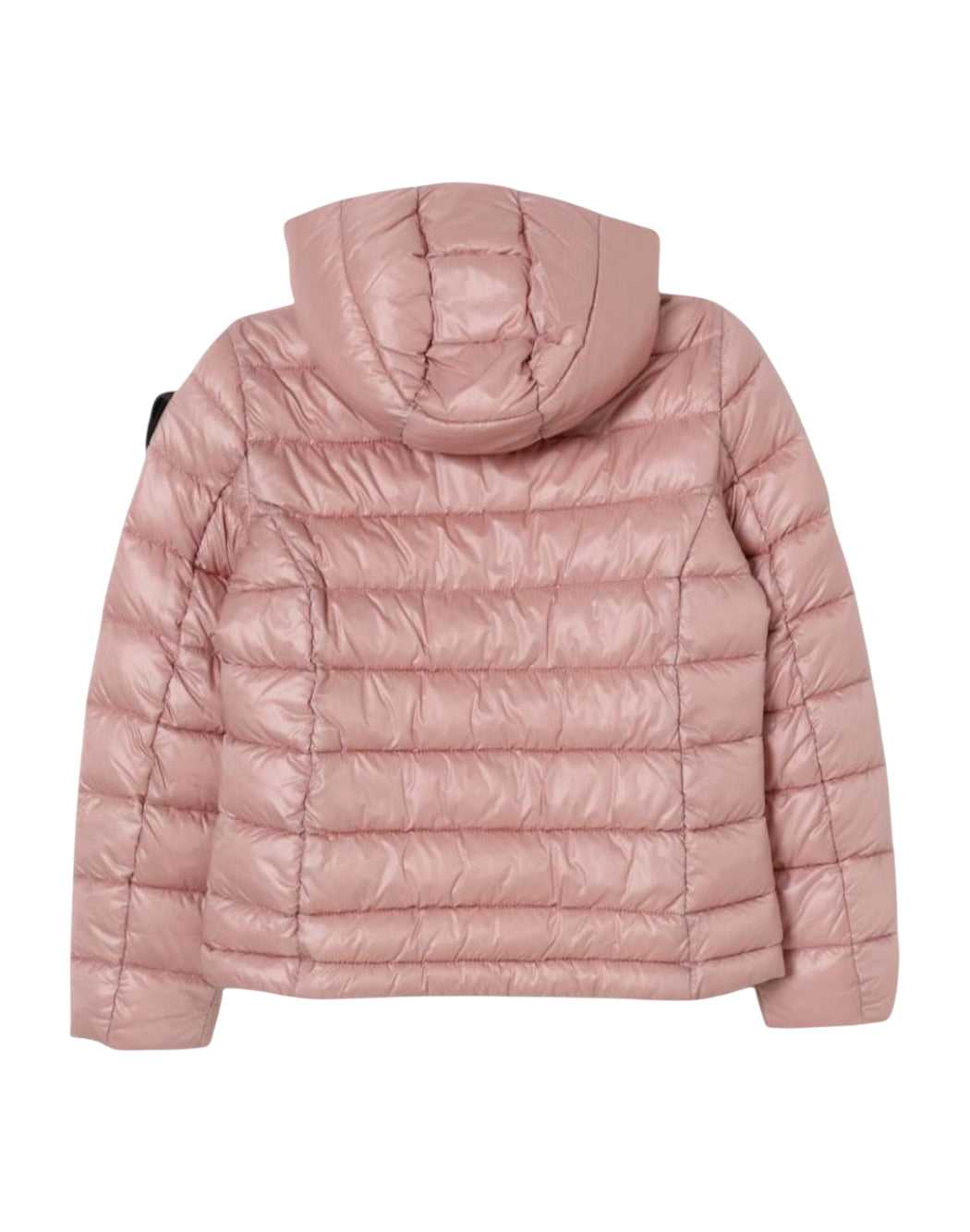 Blauer  Rosa