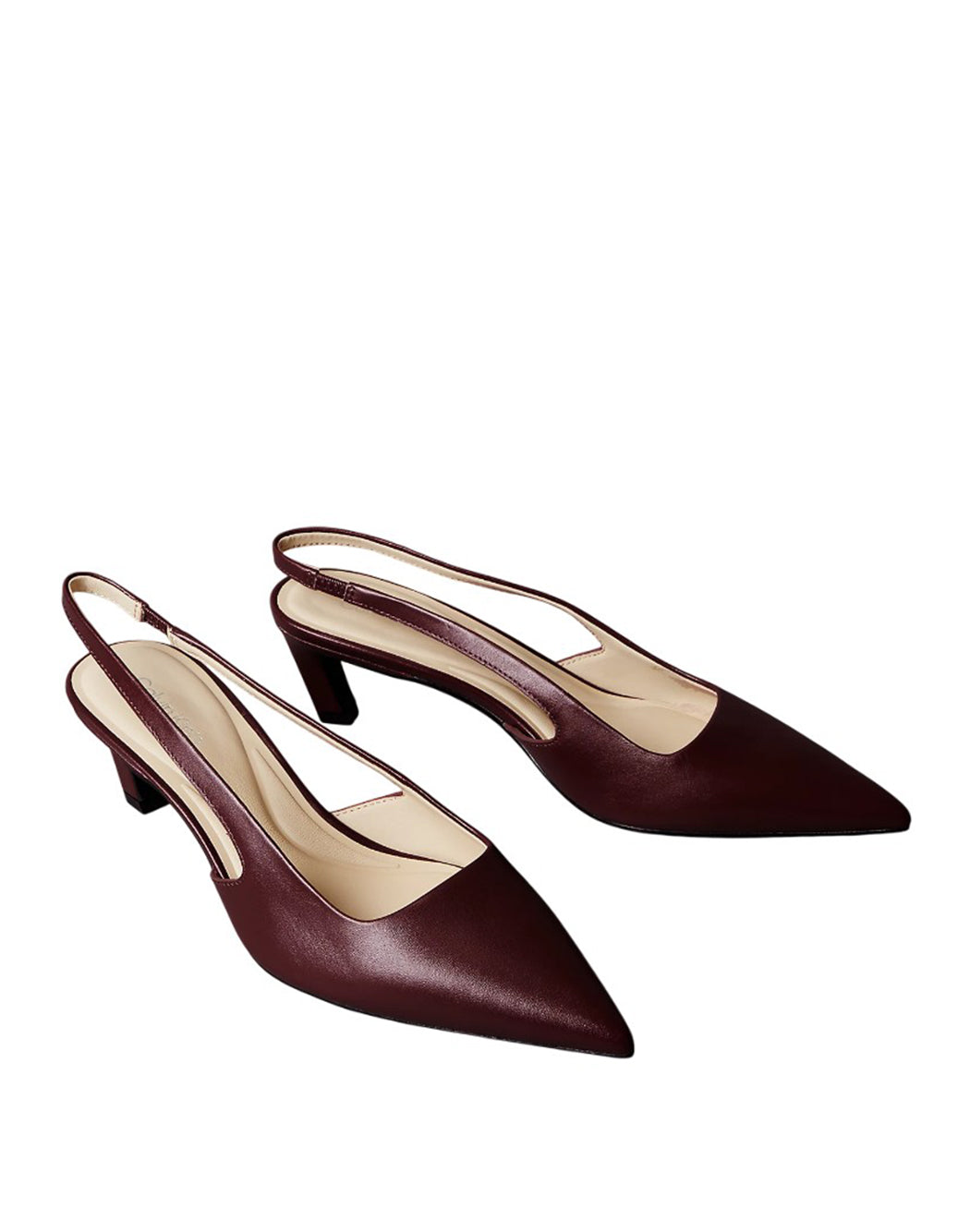 Calvin Klein  Marrone