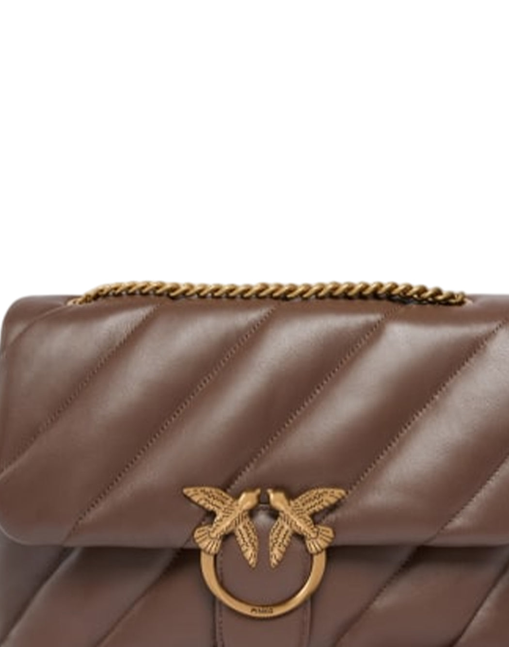 Pinko  Marrone