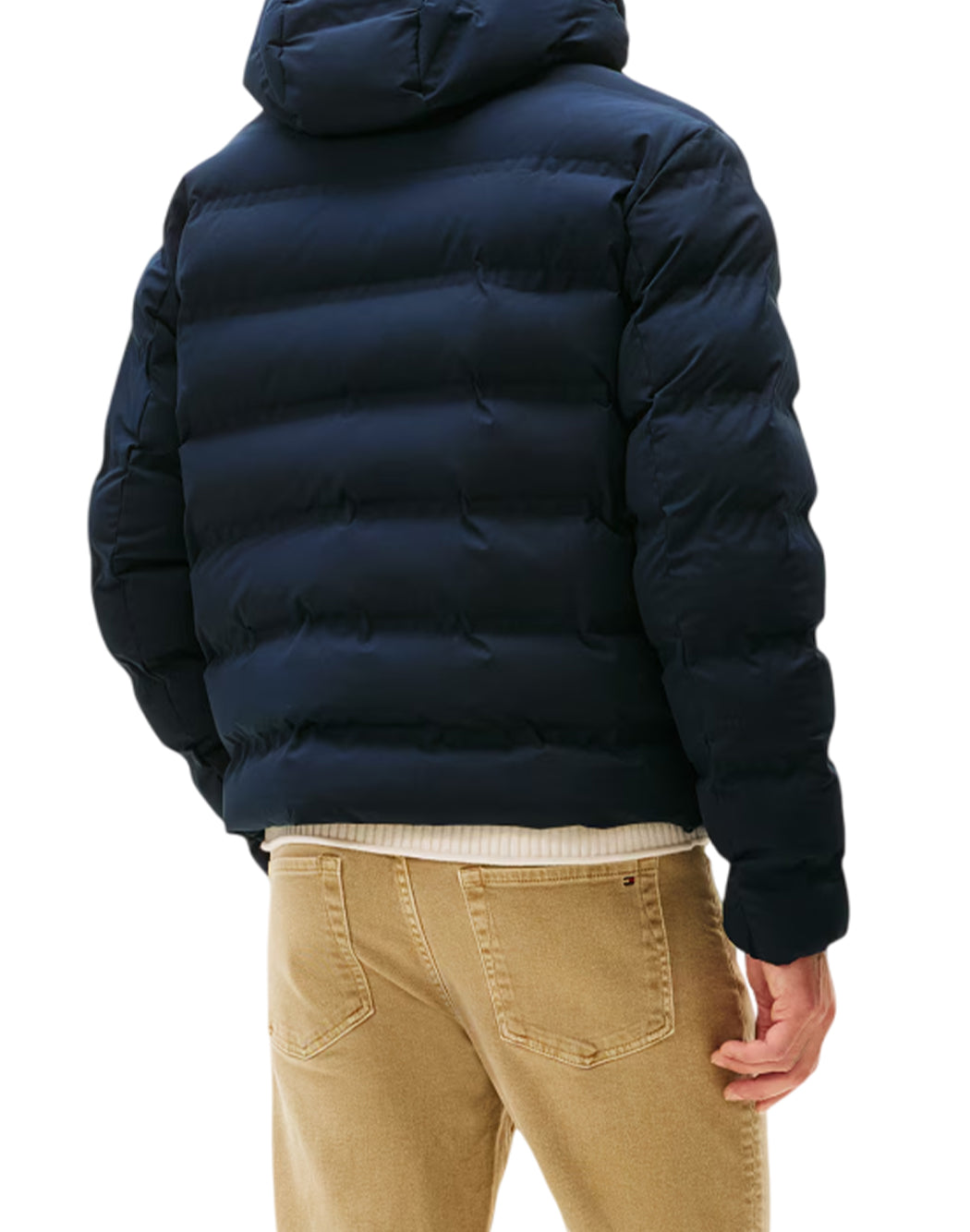 Tommy Hilfiger  Blu