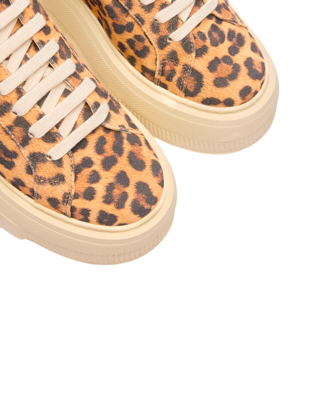 Casadei  Marrone