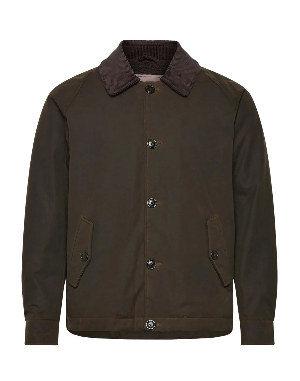 Baracuta  Marrone
