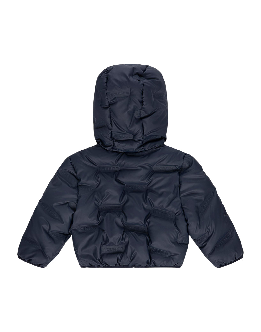 Iceberg  Blu